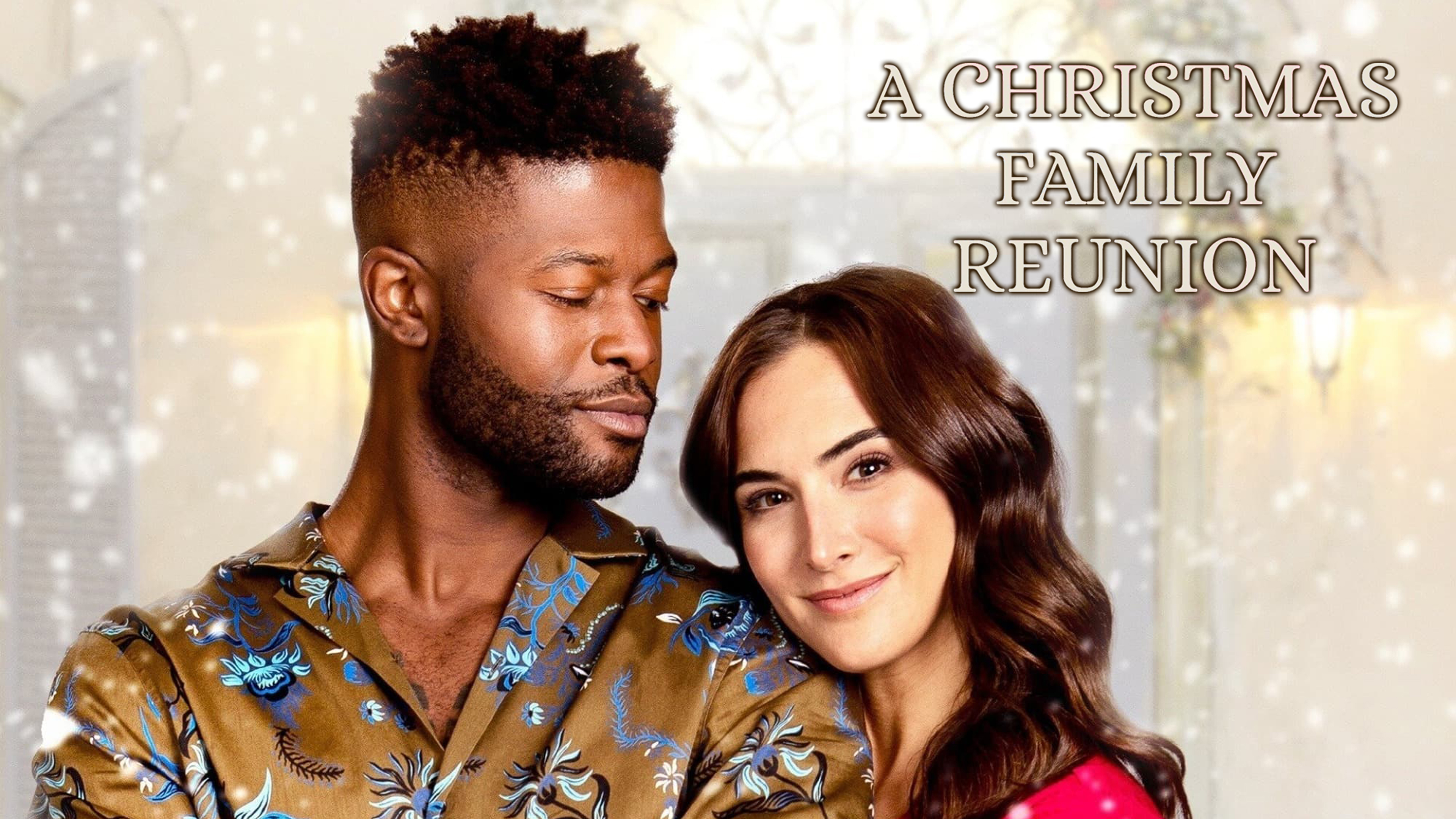 A Christmas Family Reunion