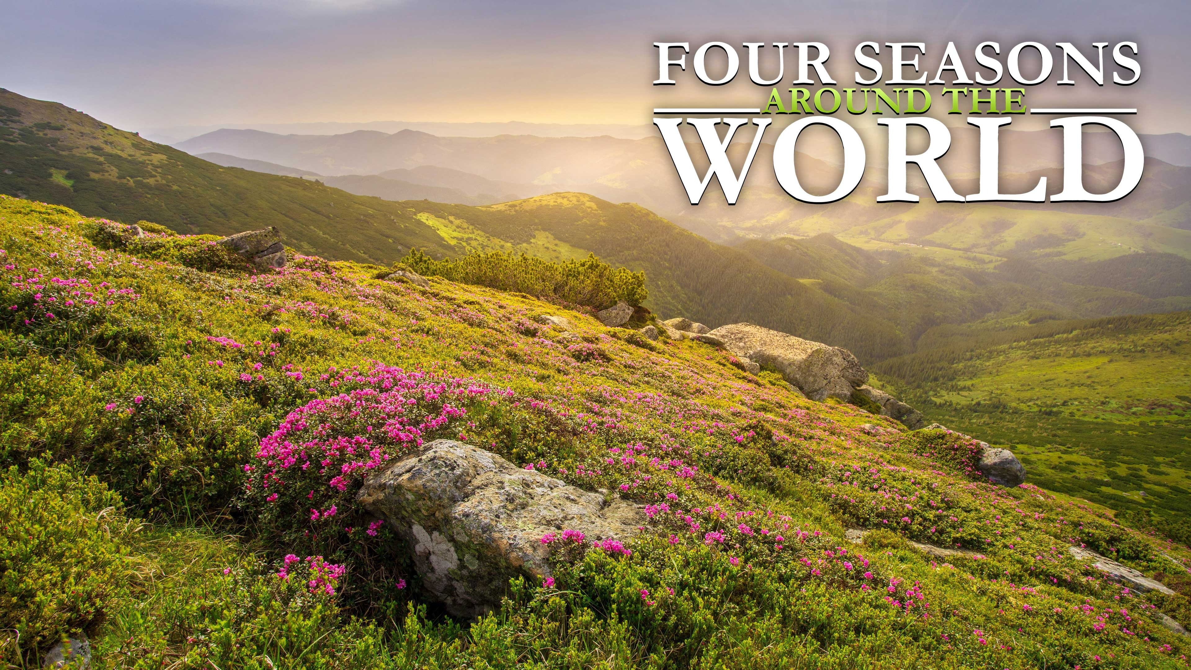 Four Seasons Around the World