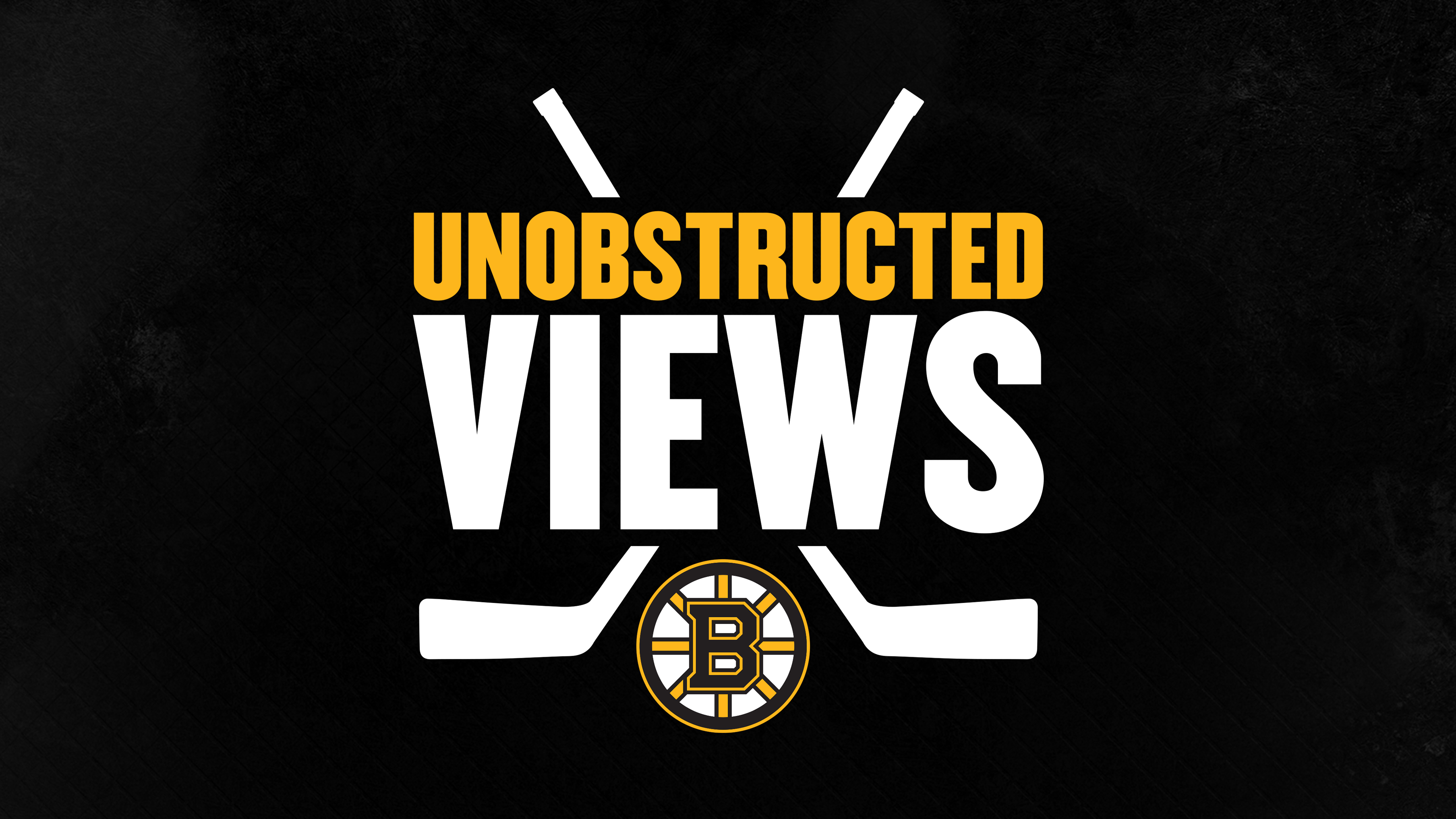 Bruins Unobstructed Views