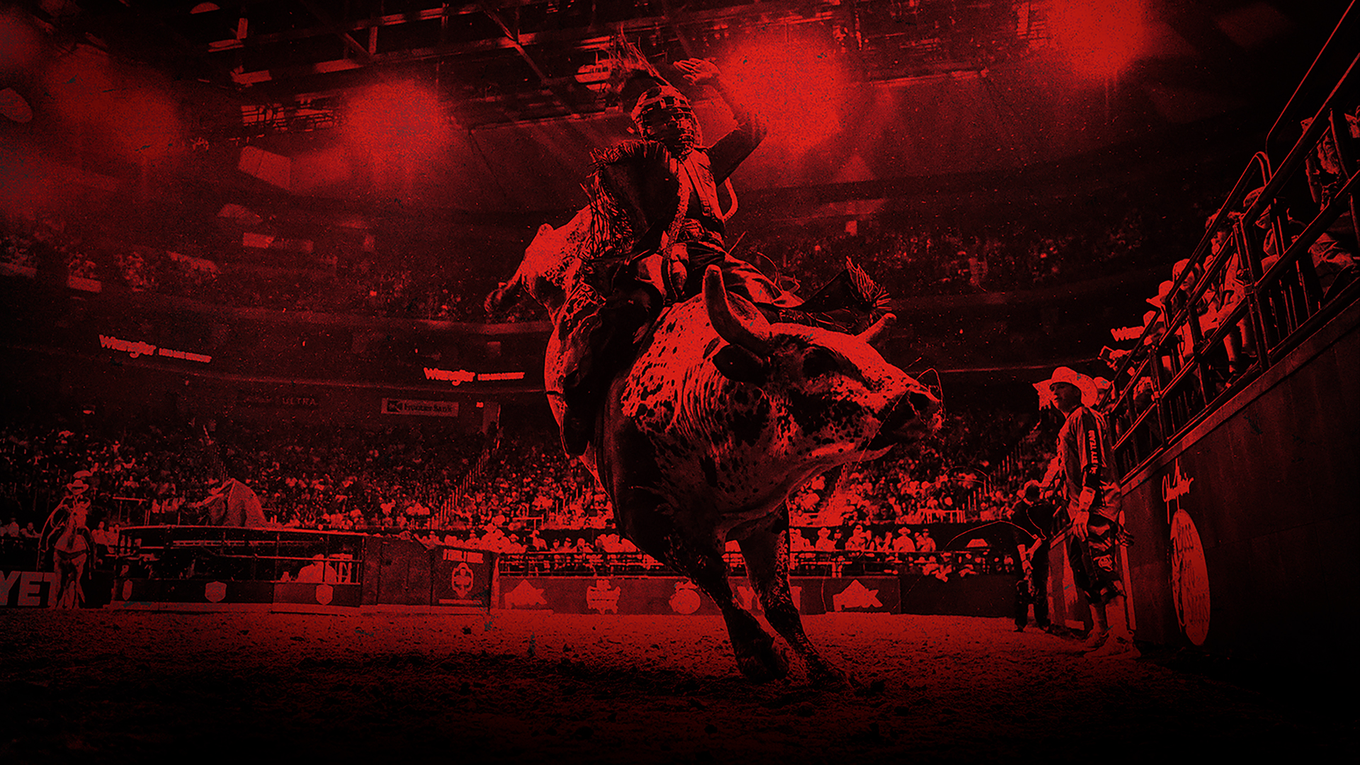 2024- PBR Teams Series