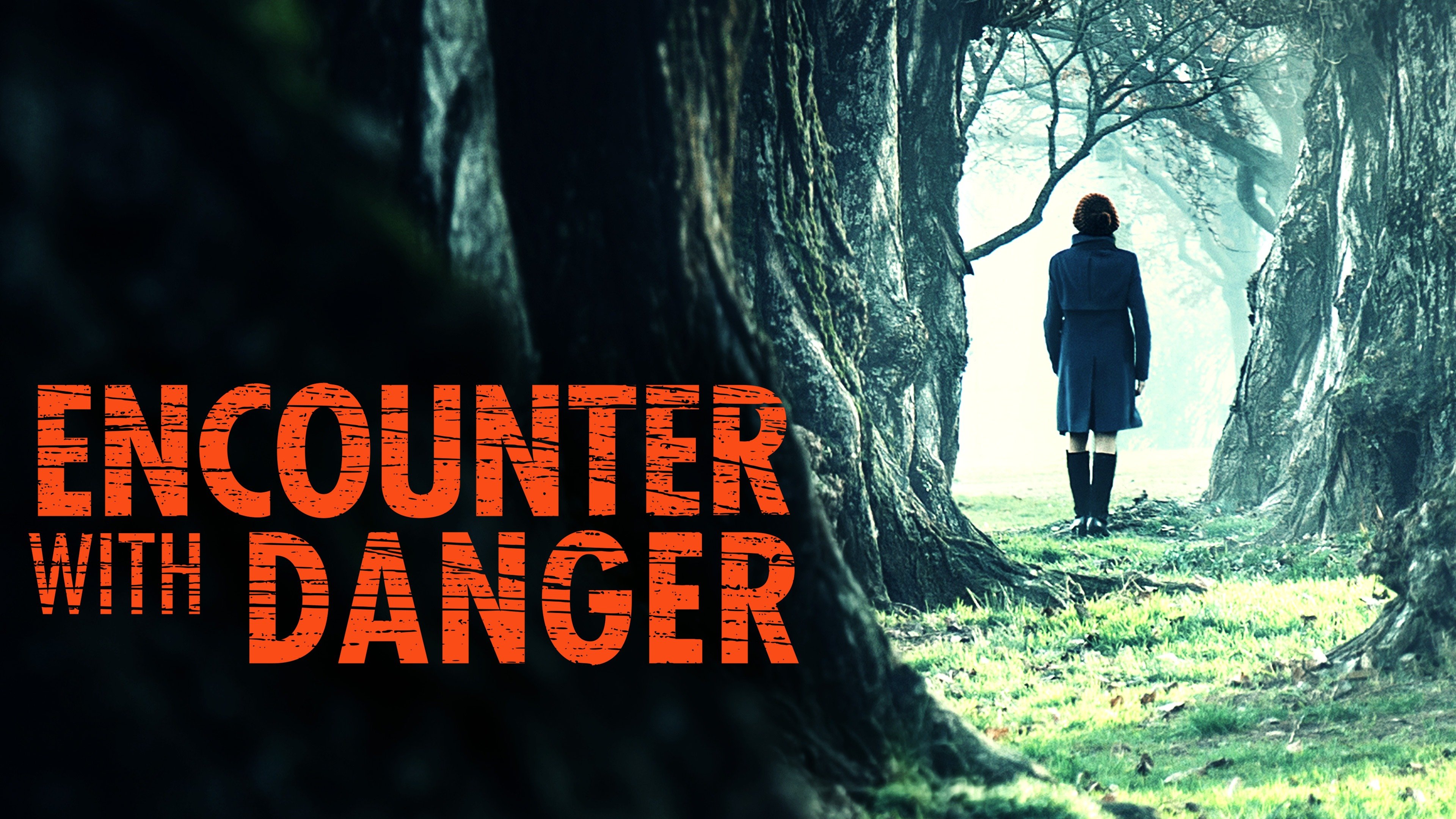 Encounter With Danger