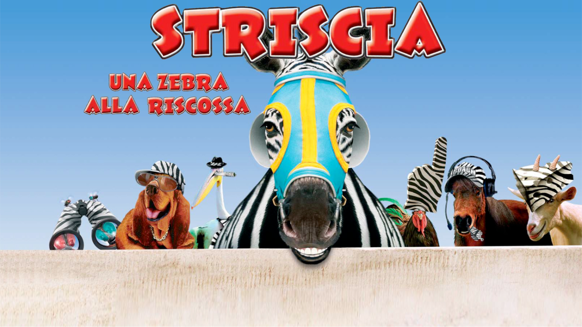 Striscia, una zebra alla riscossa
