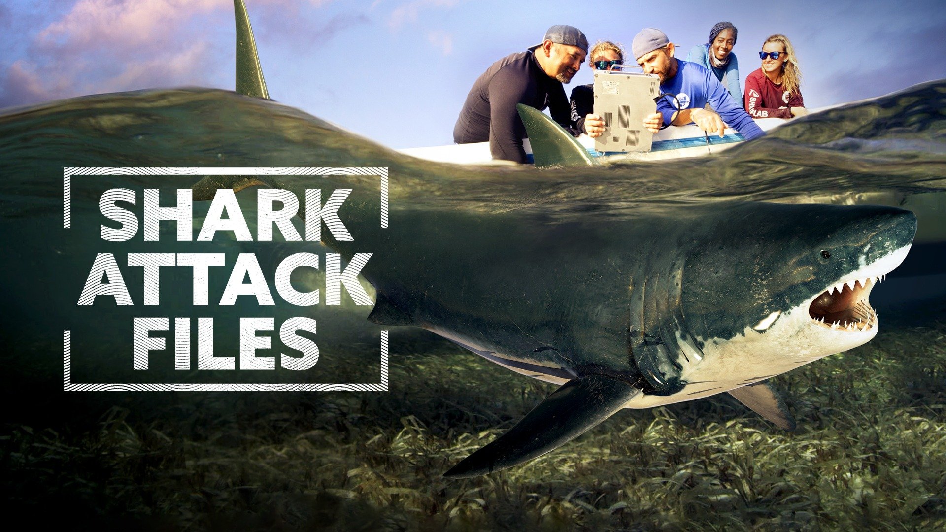 Shark Attack Files