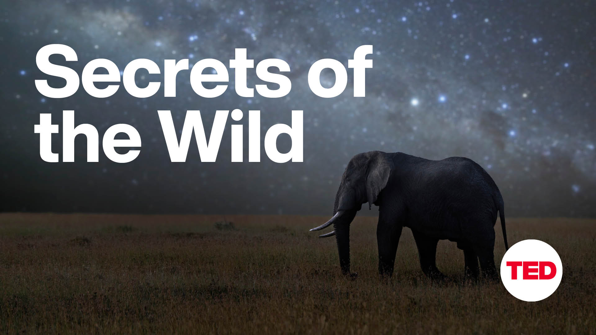 Secrets of the Wild EP03