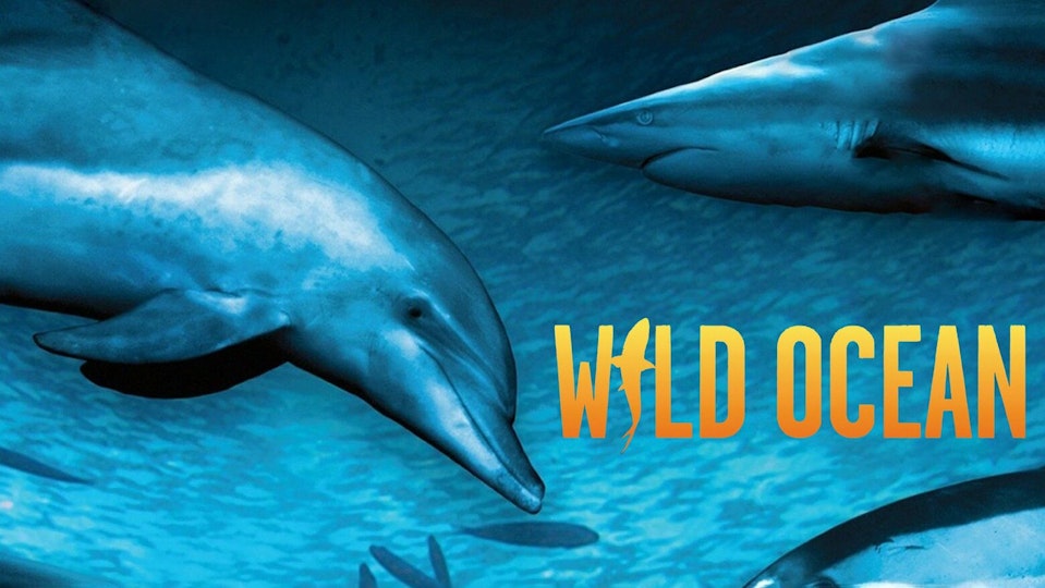 Wild Ocean