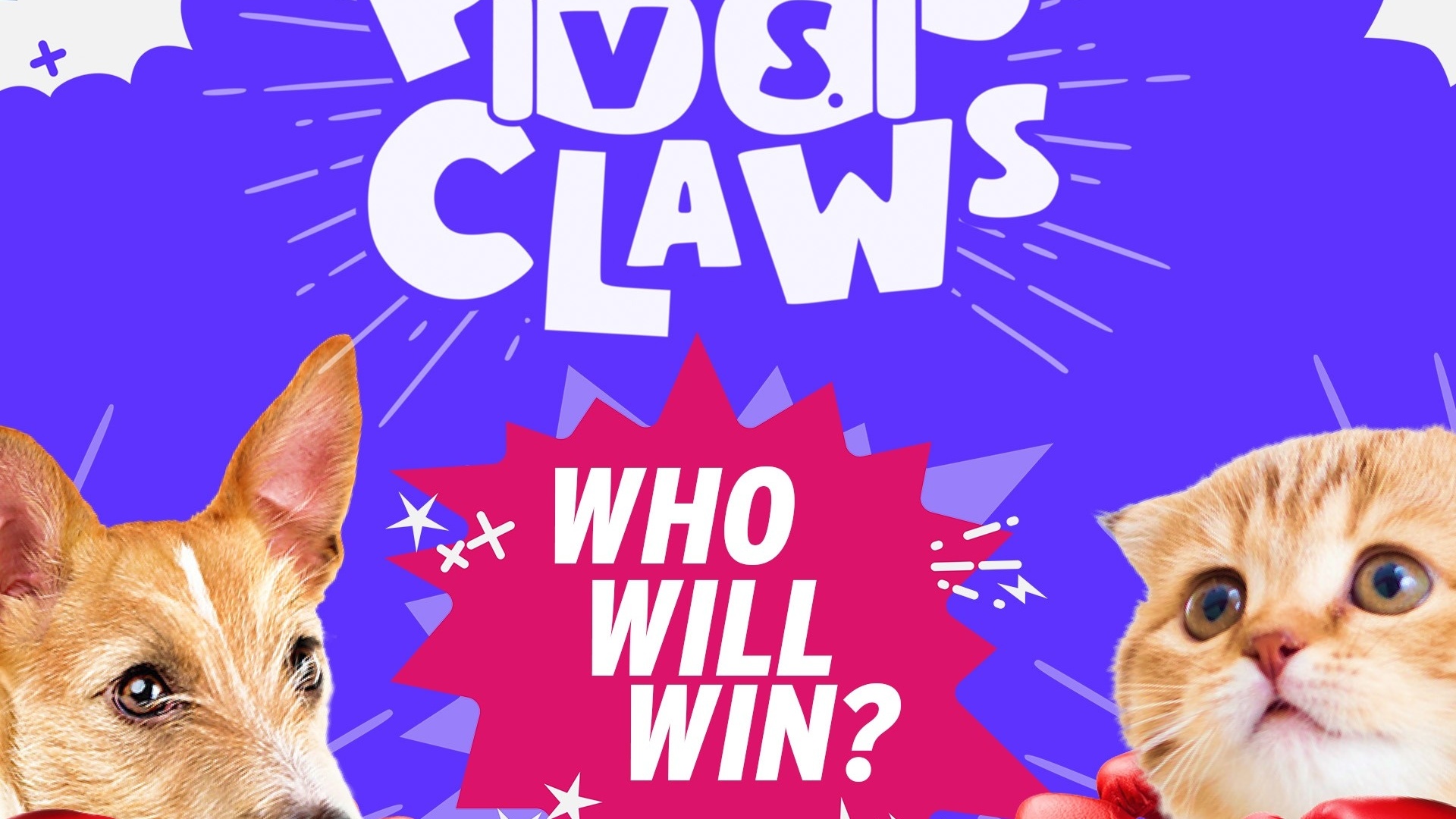 Paws VS. Claws | Bloopers