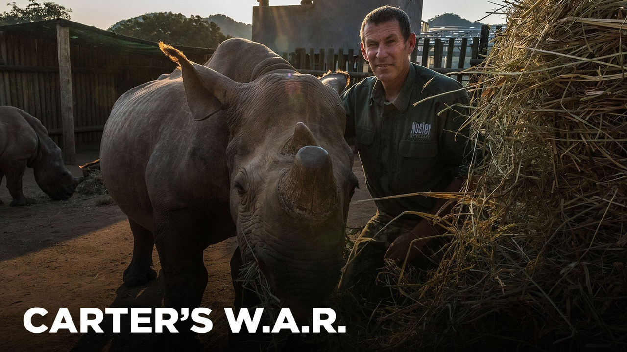 Carter's W.A.R.: Sold Into Slavery