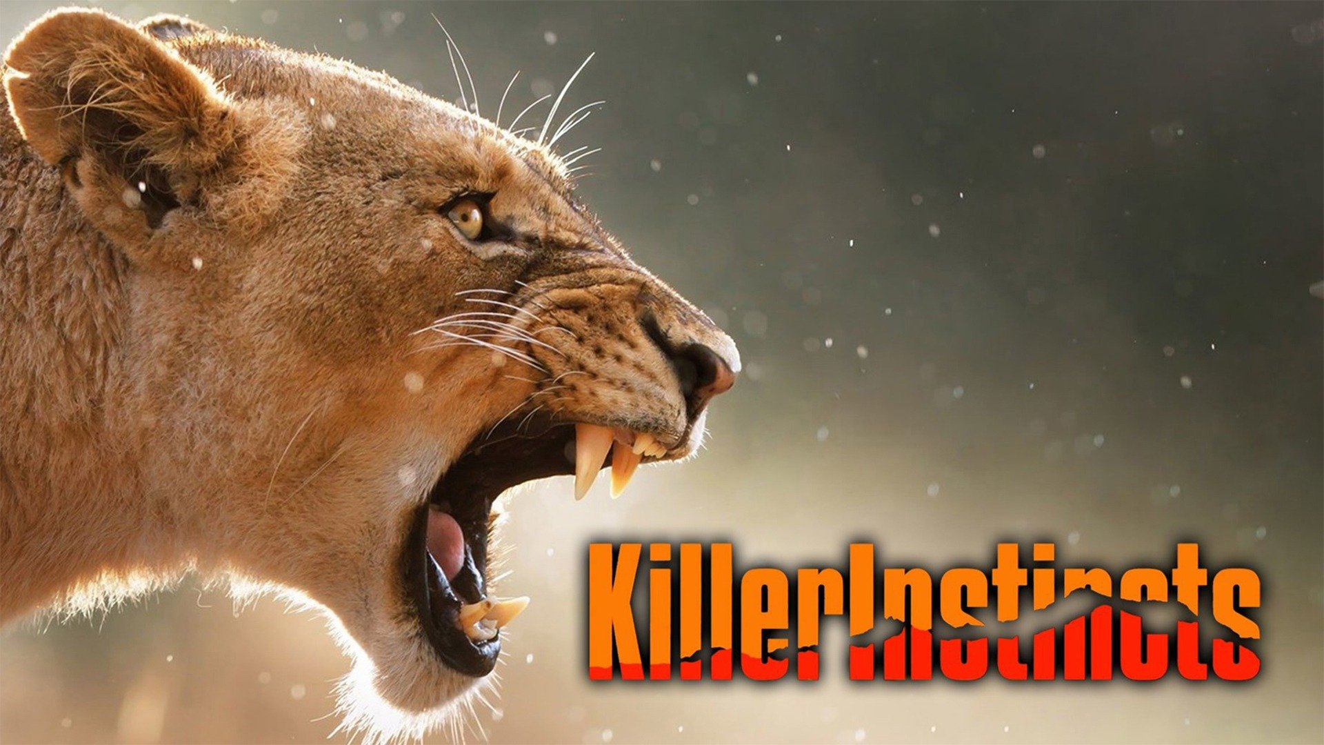 Killer Instincts