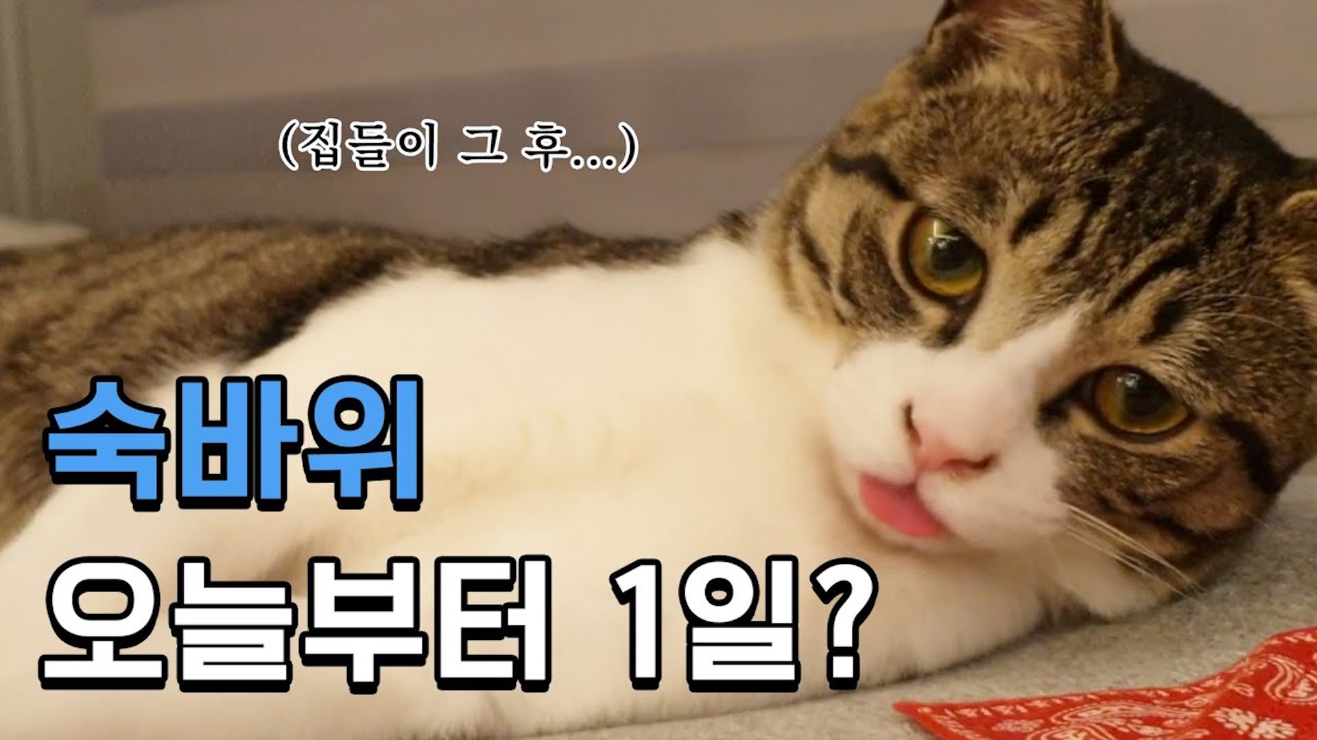 숙바위 오늘부터 1일?❤️ 숙에게 손을 내어주시겠습니까...?ฅ^•ﻌ•^ฅ