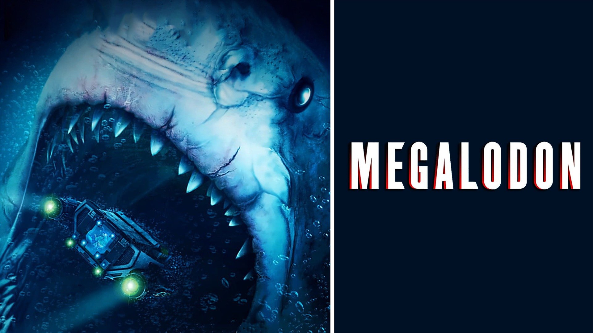 Megalodon