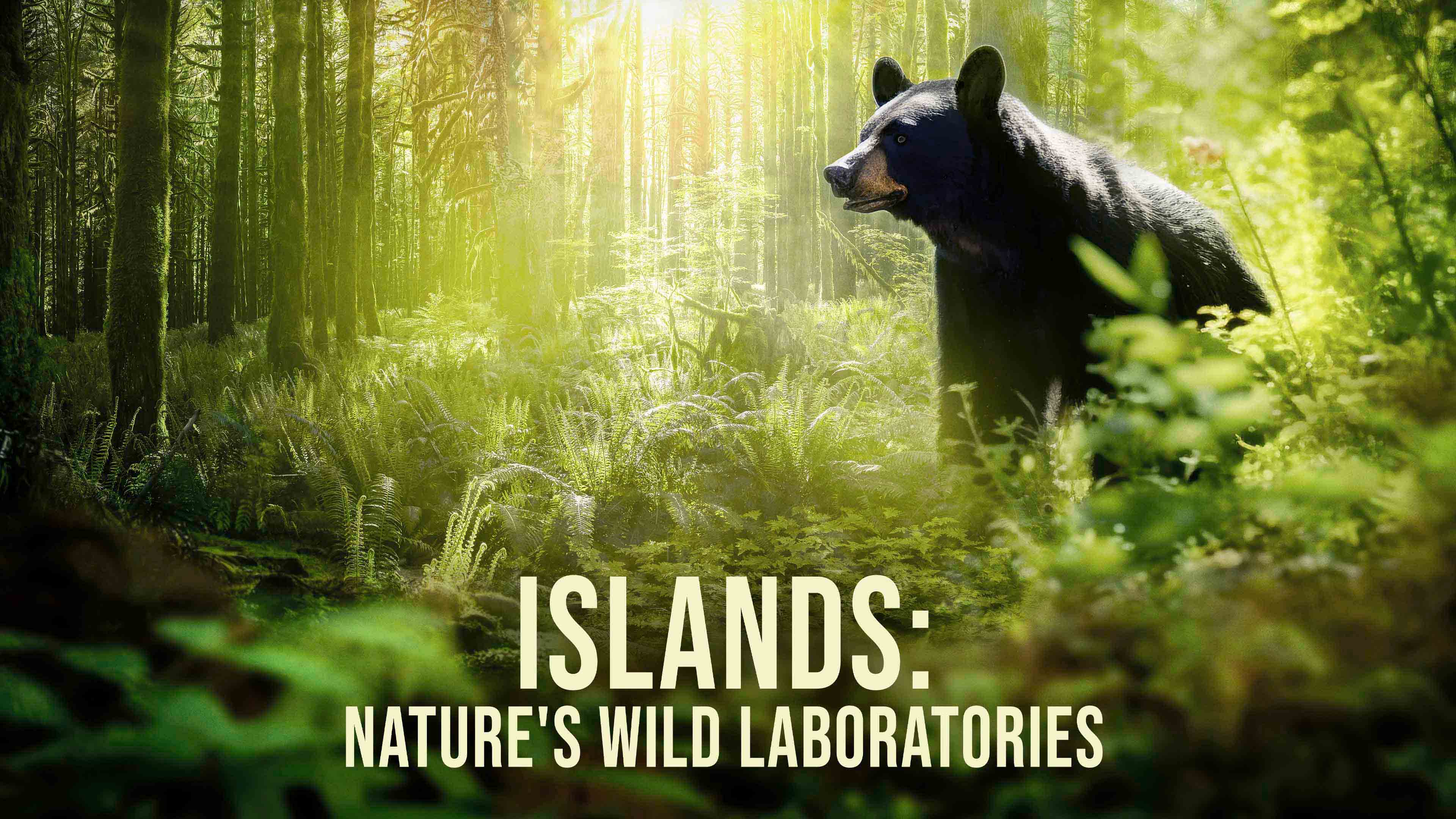Islands: Nature's Wild Laboratories