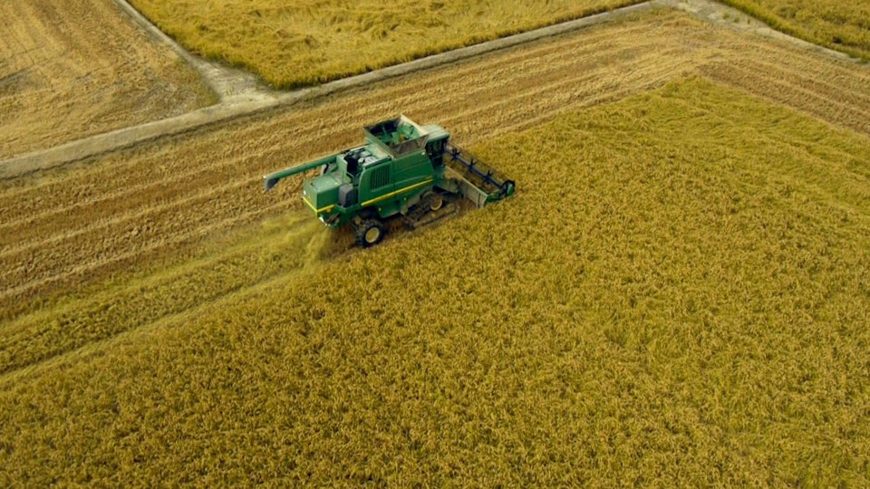 Das kulinarische Erbe der Alpen