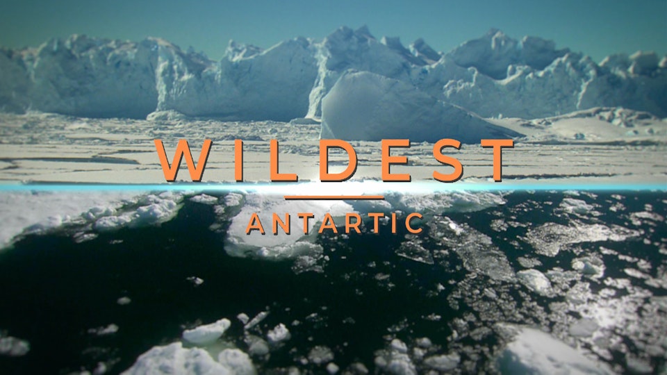 Wildest Places: Antarctic
