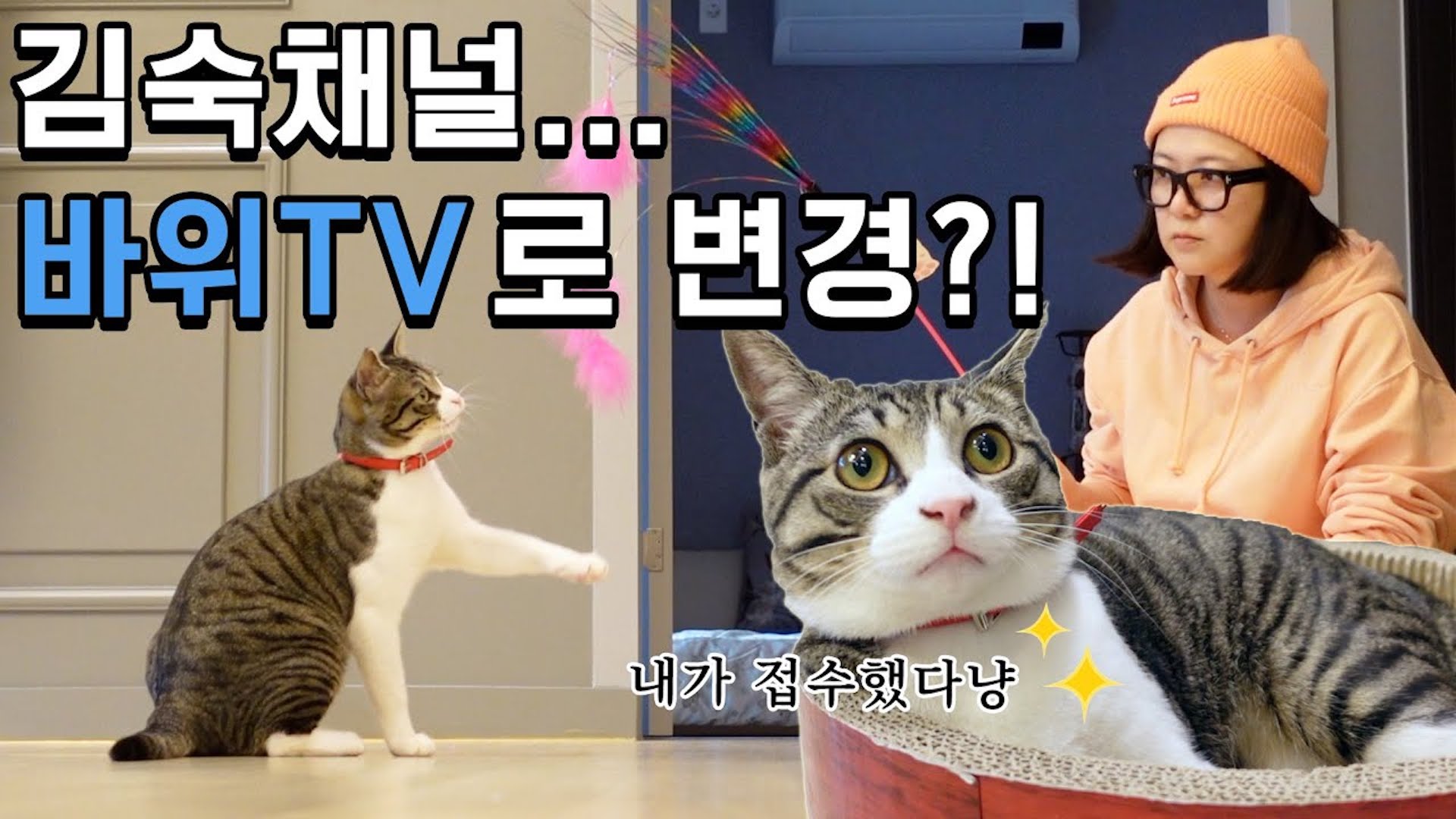 감성집사 김숙(?), 오늘도 플렉숙했다!? 캠핑샵이 아닌 반려동물 용품샵에서.. ♡