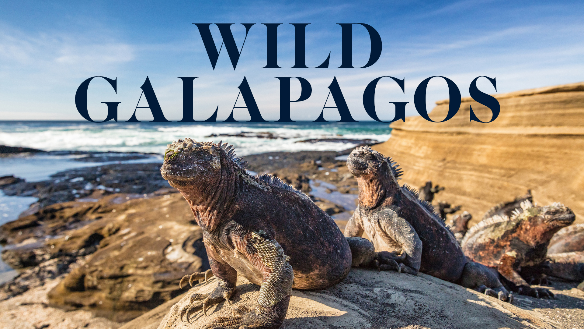 Wild Galapagos Series 01 Episode 02
