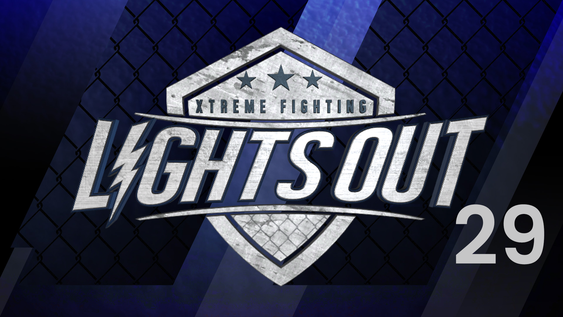Lights Out Xtreme Fighting 29: Alvarado vs. Torres