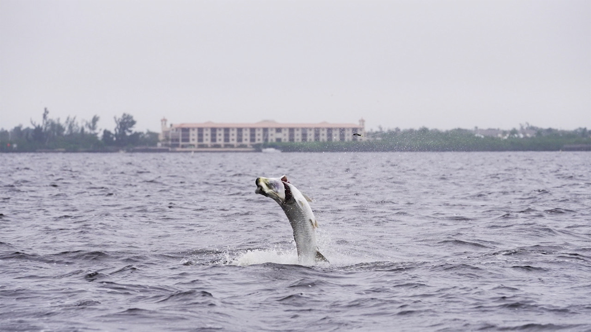 The Scott Martin Challenge