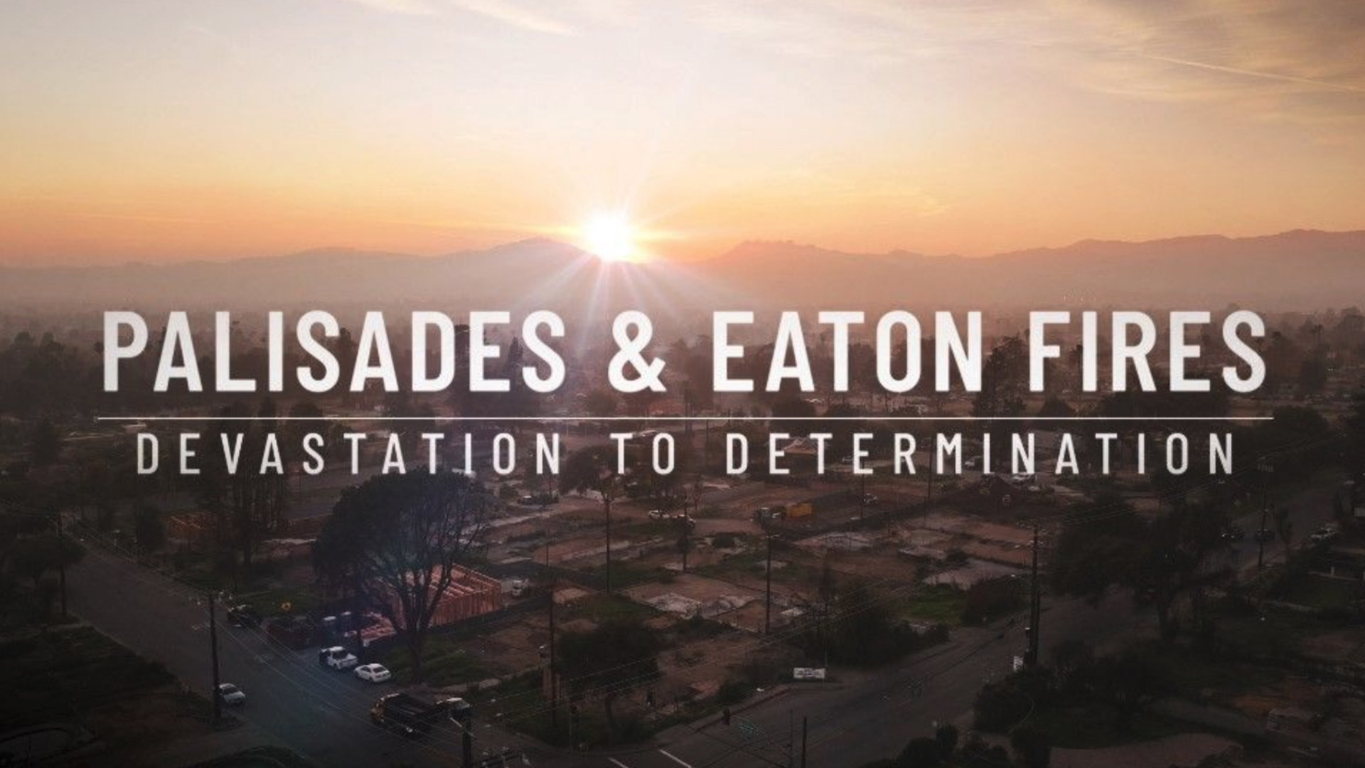 Palisades & Eaton Fires: Devastation to Determination
