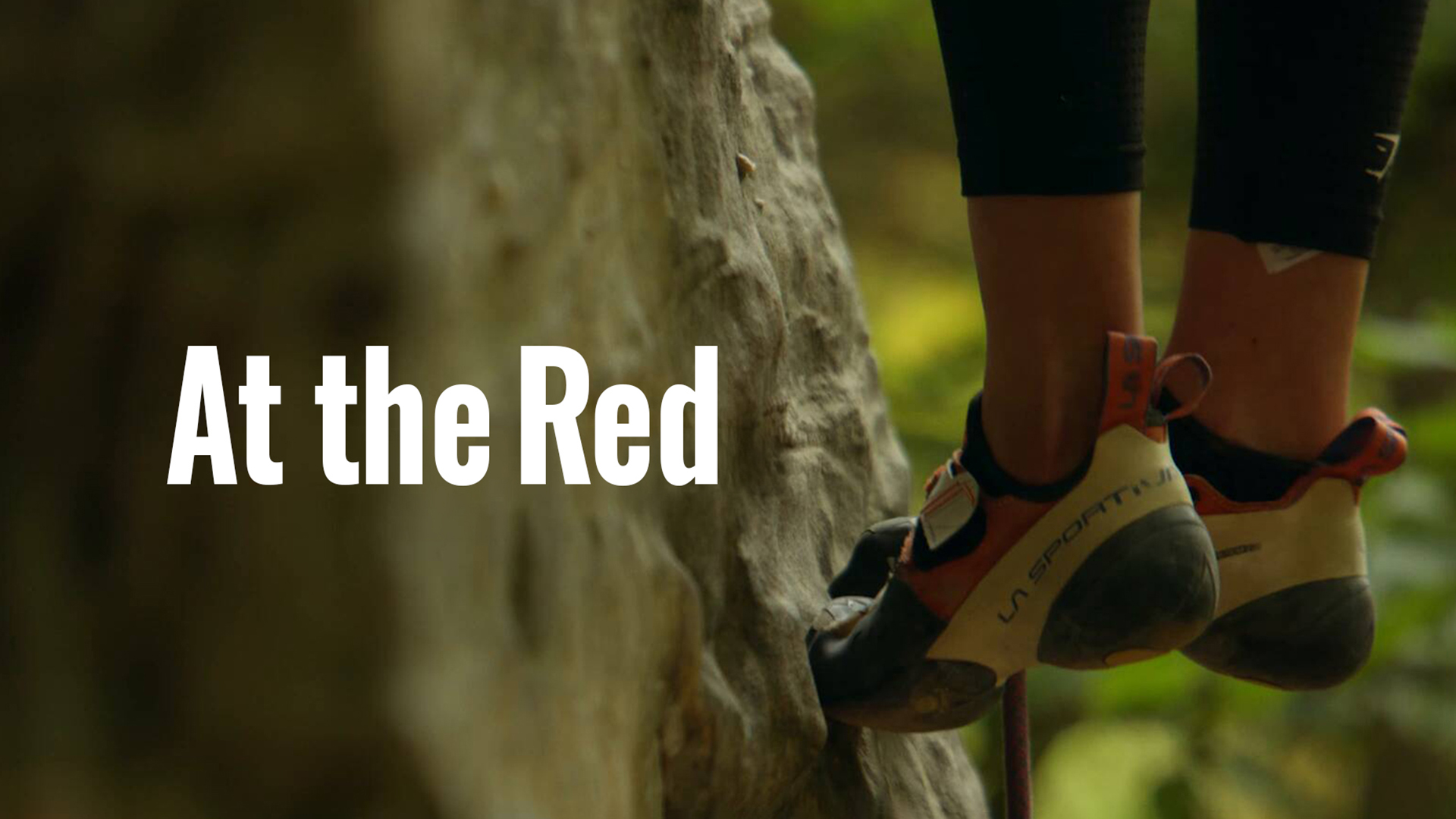 At the Red: 40 Years of Miguel's