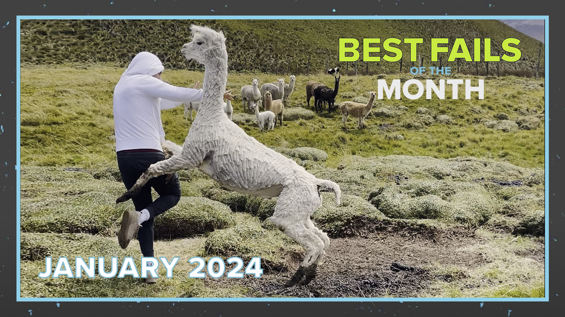 Best Fails of the Month