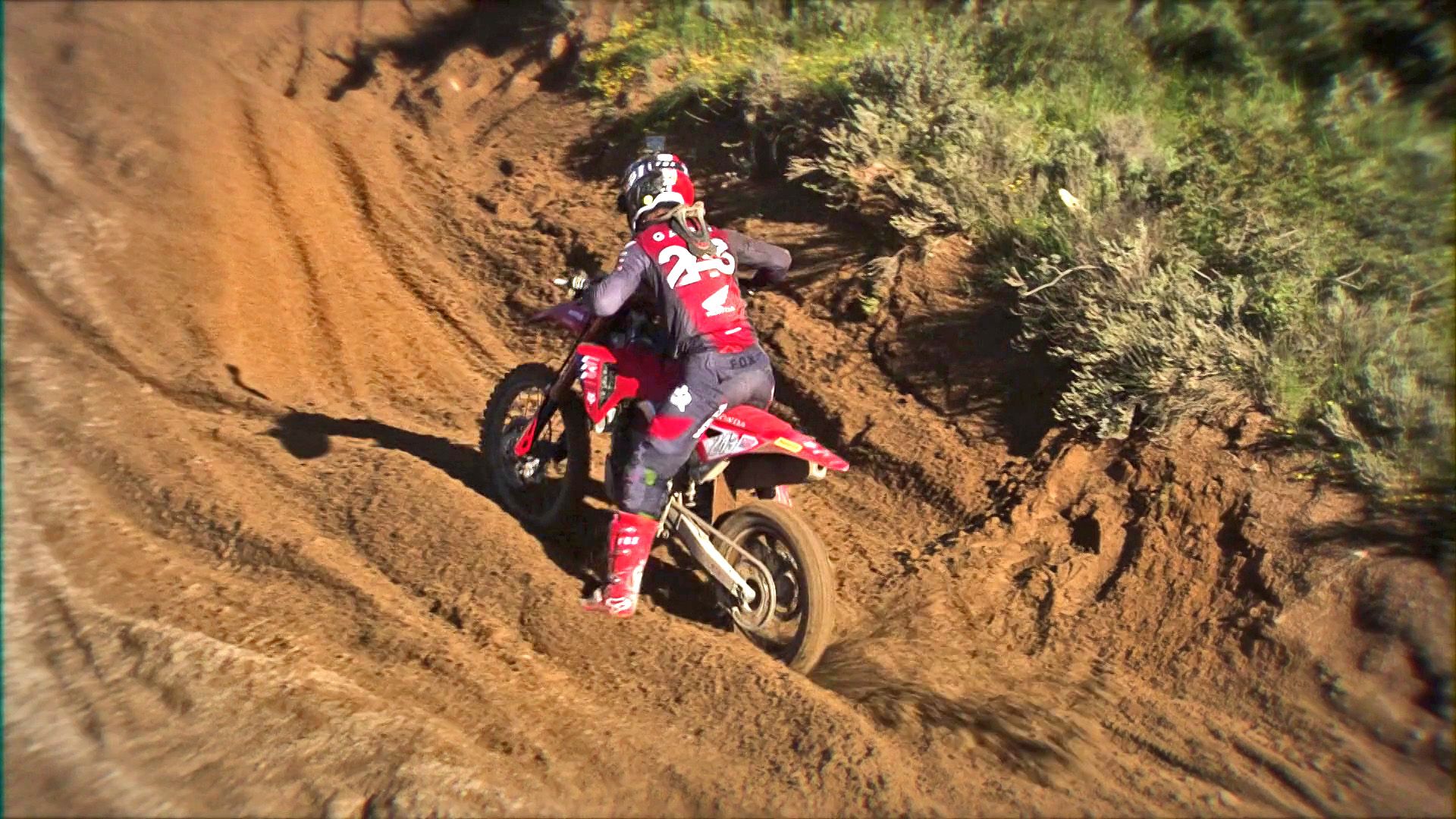 FIM World Motocross Championship