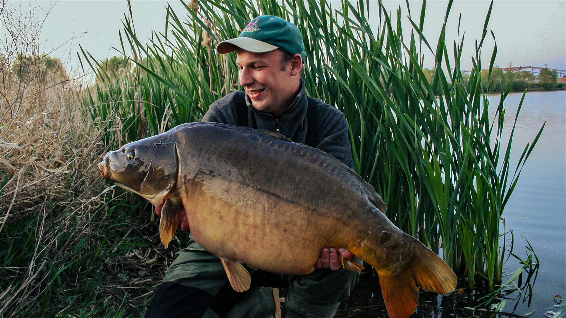 Karpfenangeln am Stausee