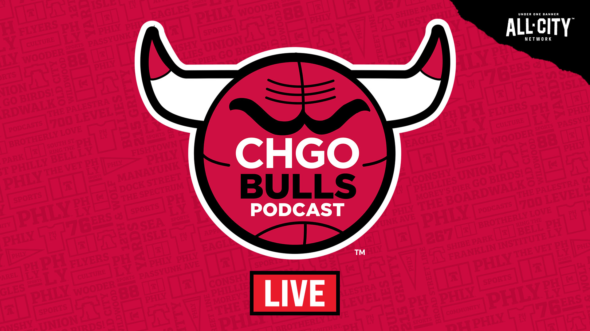 CHGO Bulls Live