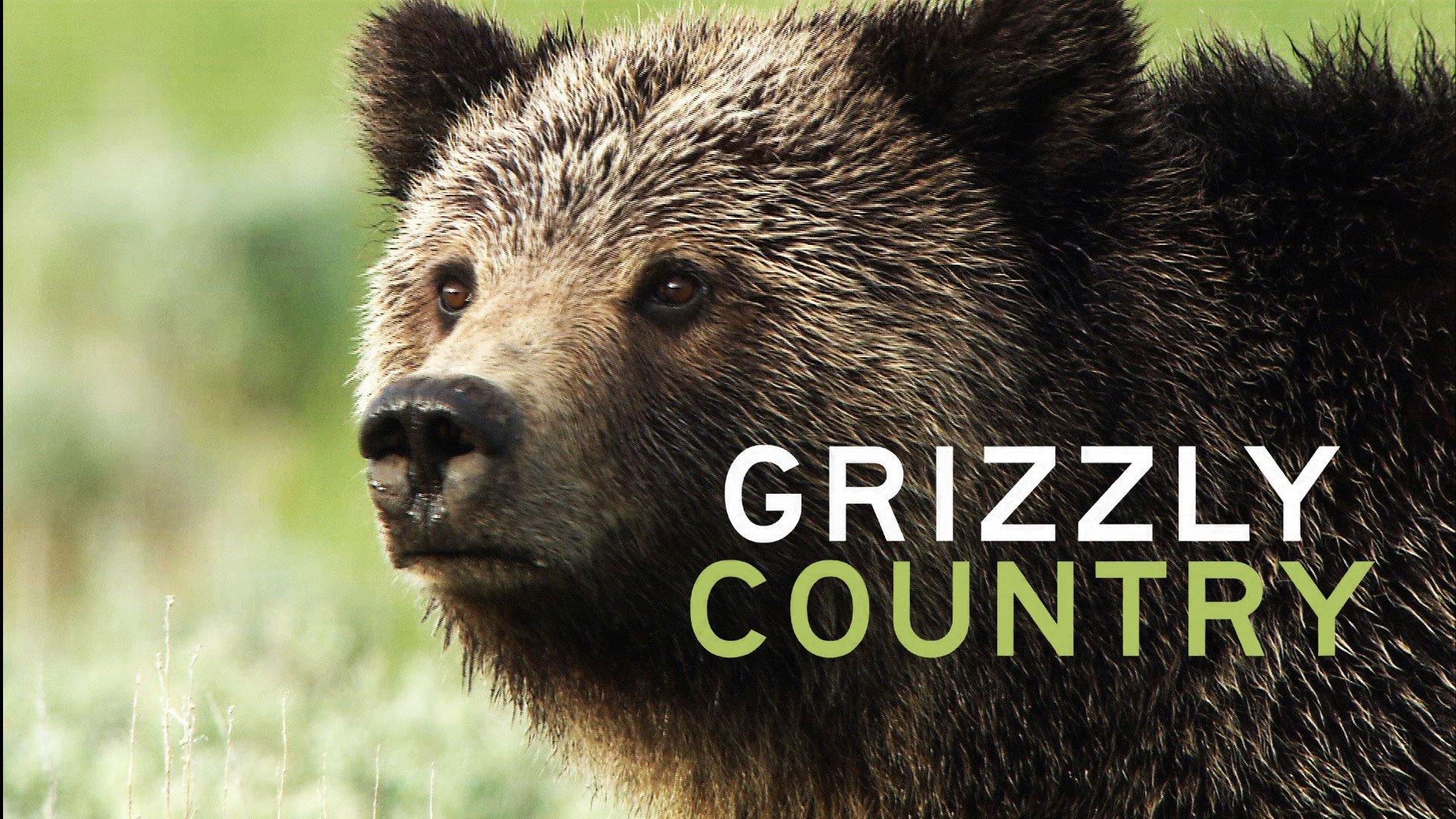 Grizzly Country
