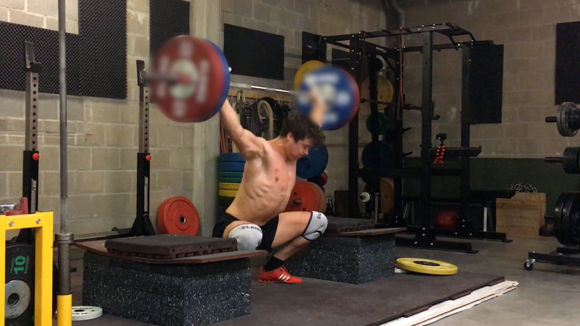 Humans VS. Everything