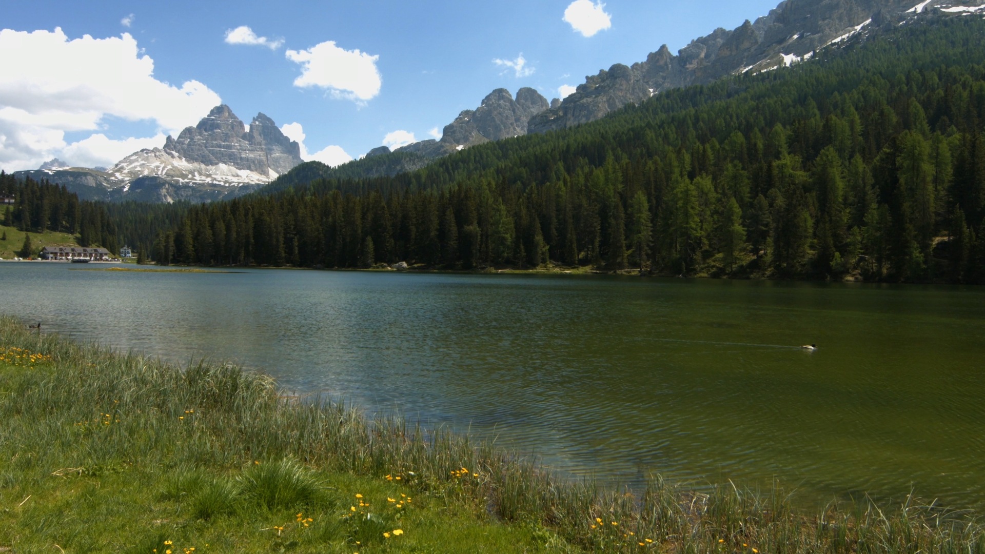 Nature sceneries (with music)