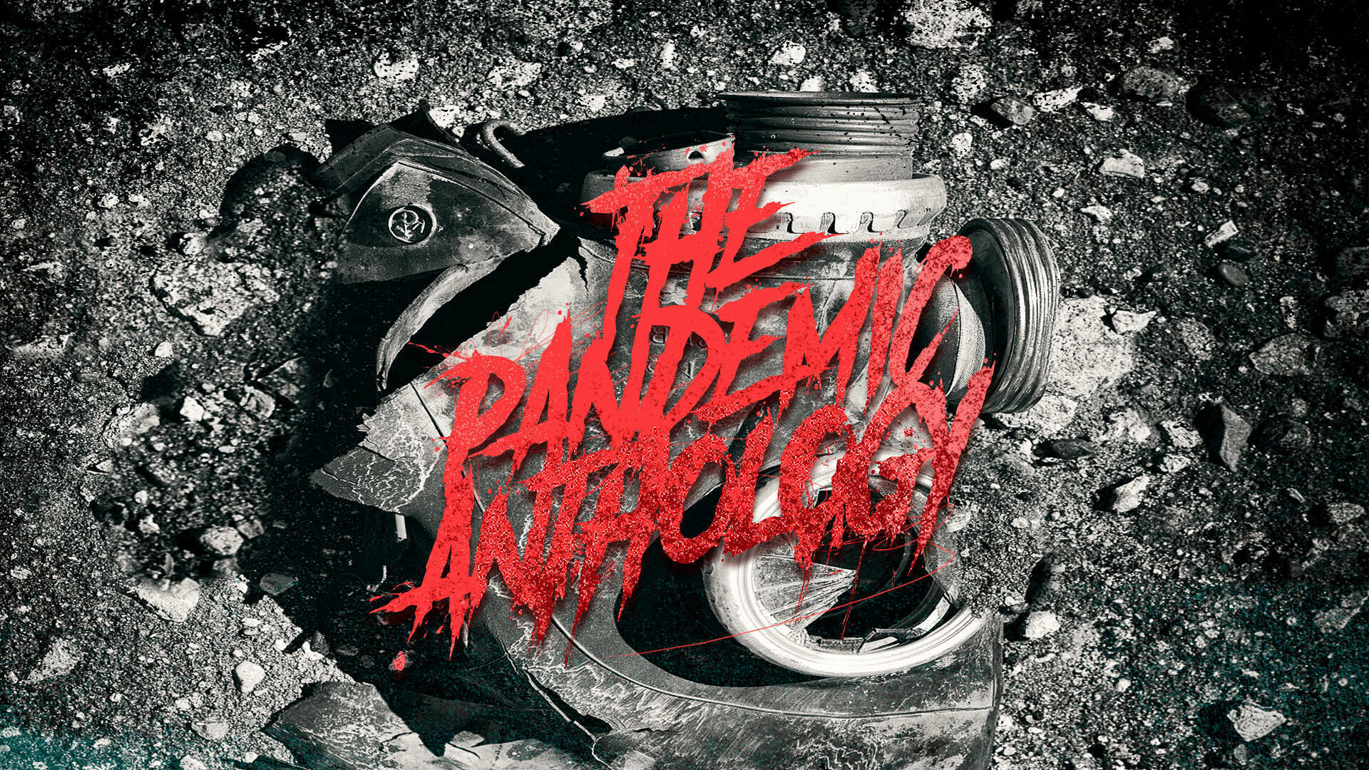 PANDEMIE : 13 HISTOIRES DE VIE