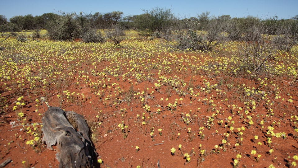 Australiens Nationalparks