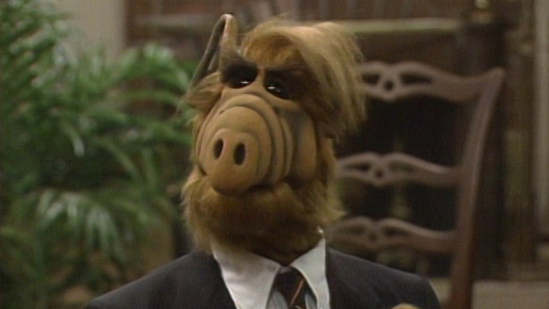 ALF