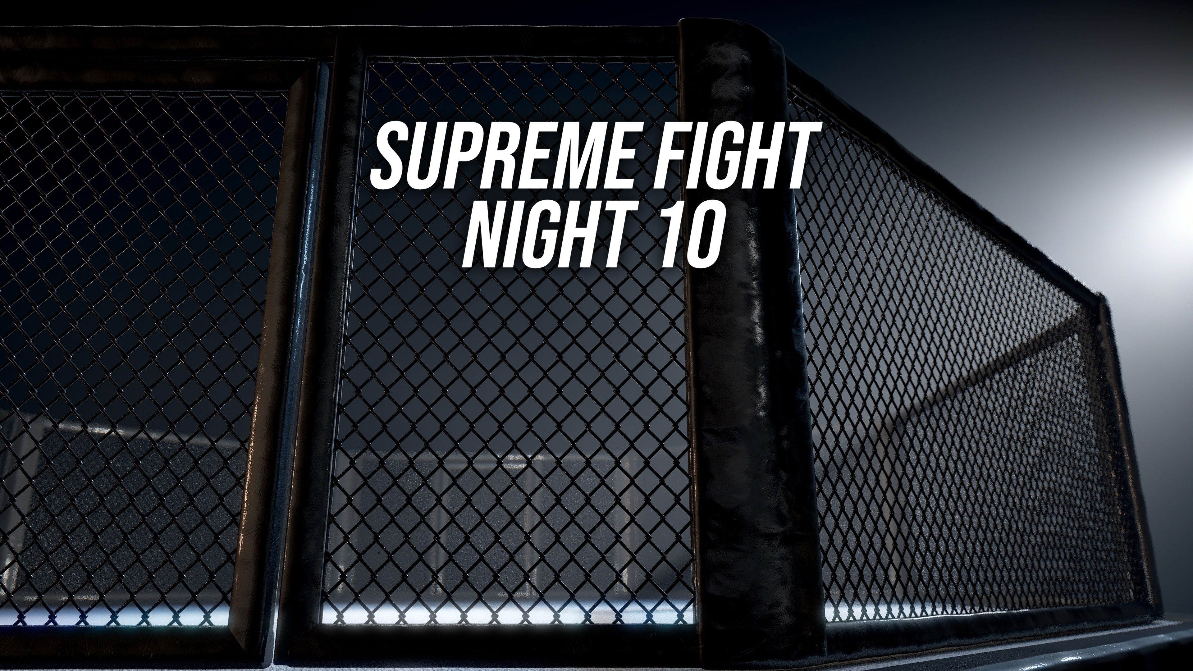 Supreme Fight Night 10