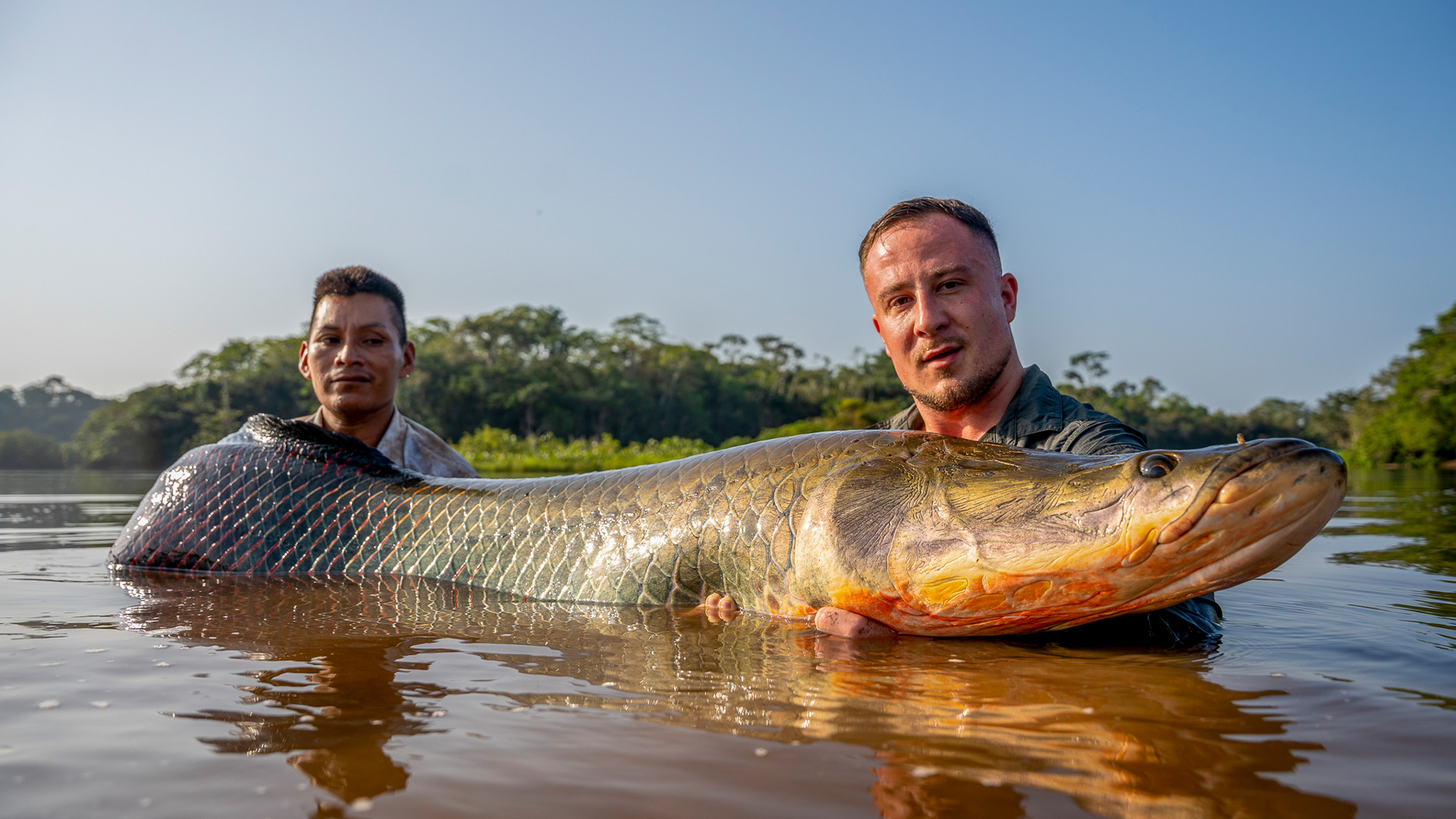 Jungle Giants! Arapaima Expedition 2025