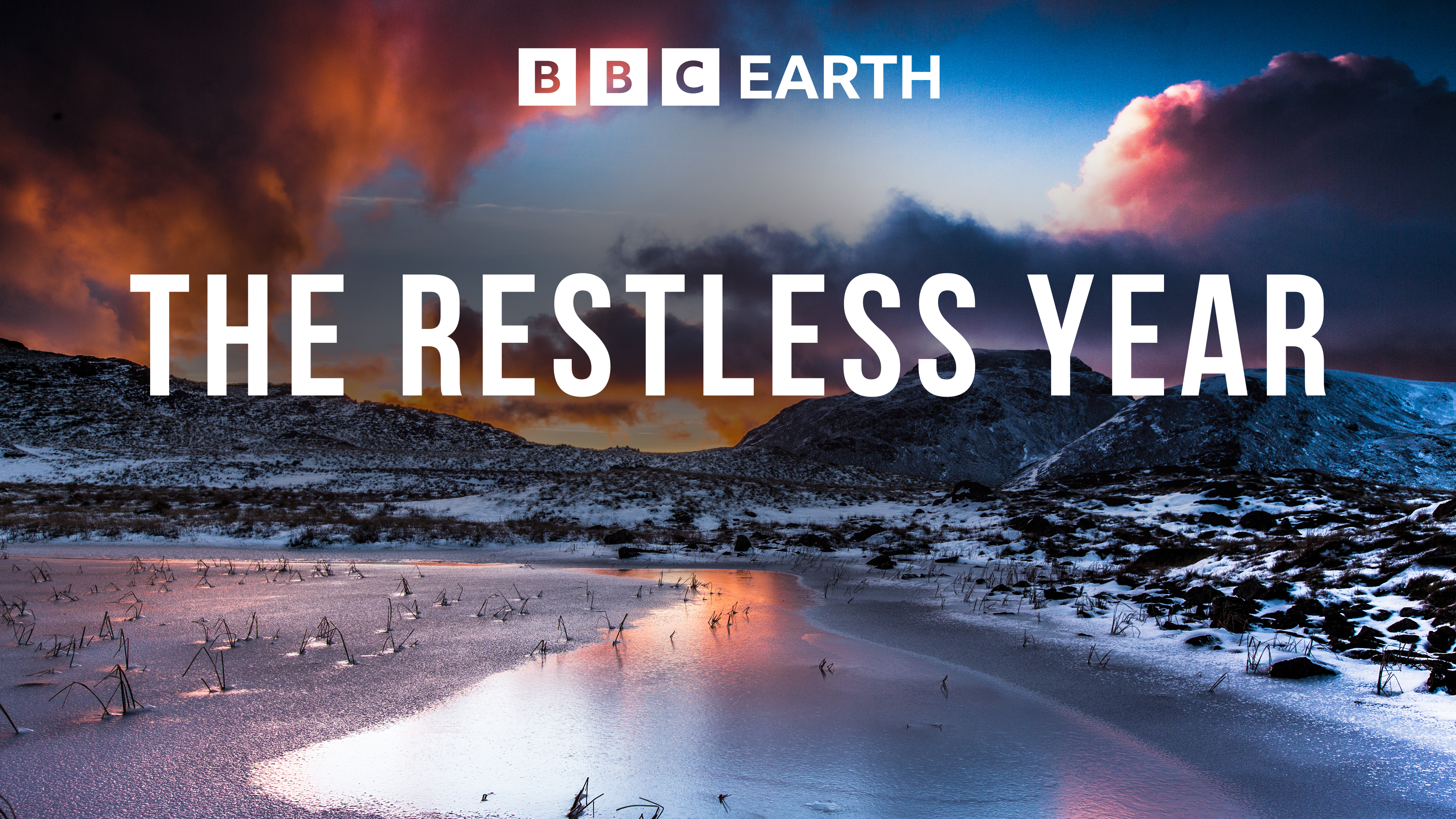 The Restless Year (2016)