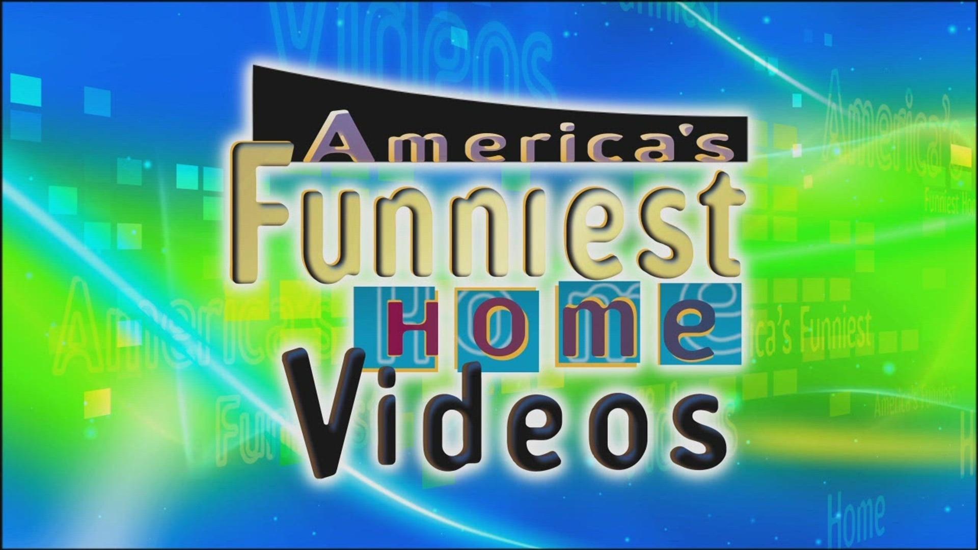 America's Funniest Home Videos