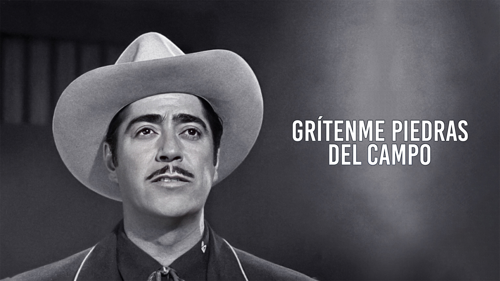 ¡Grítenme piedras del campo!