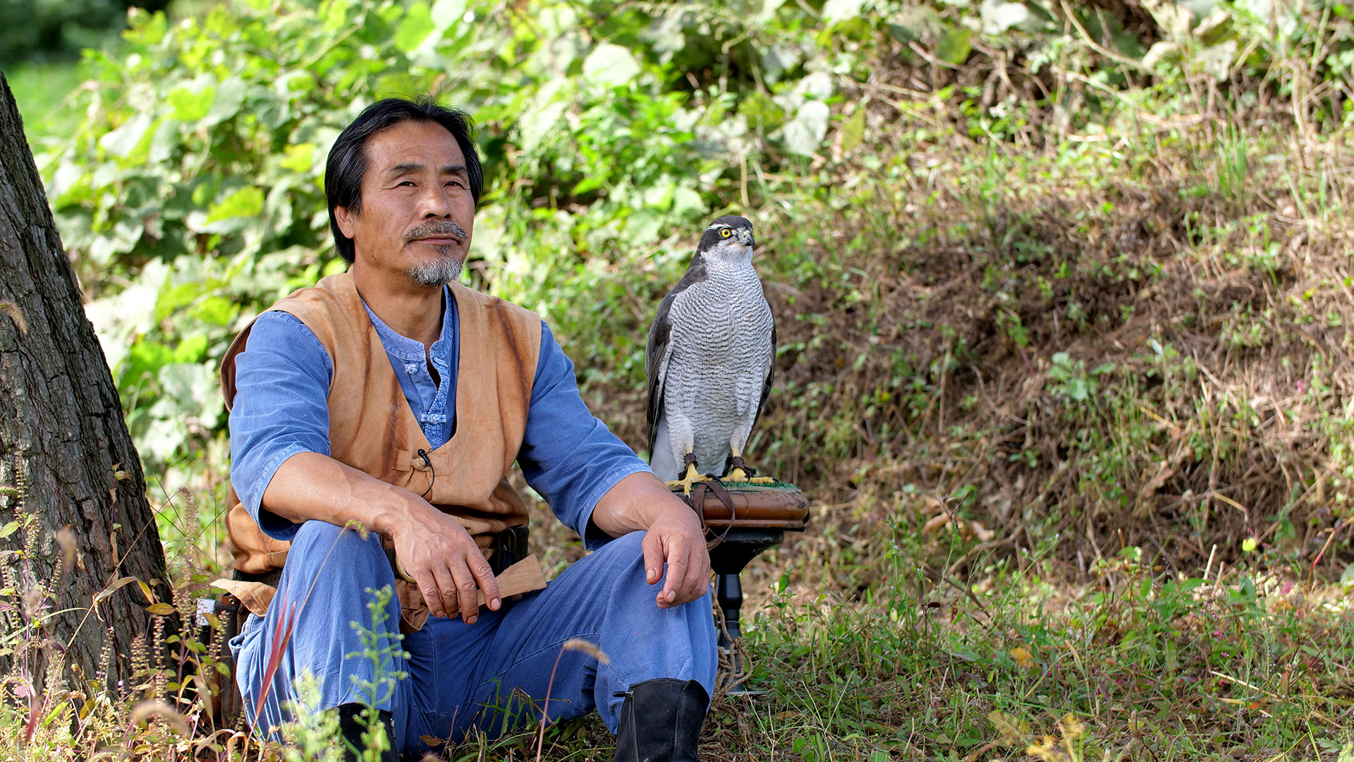 Geheimnisvolles Korea