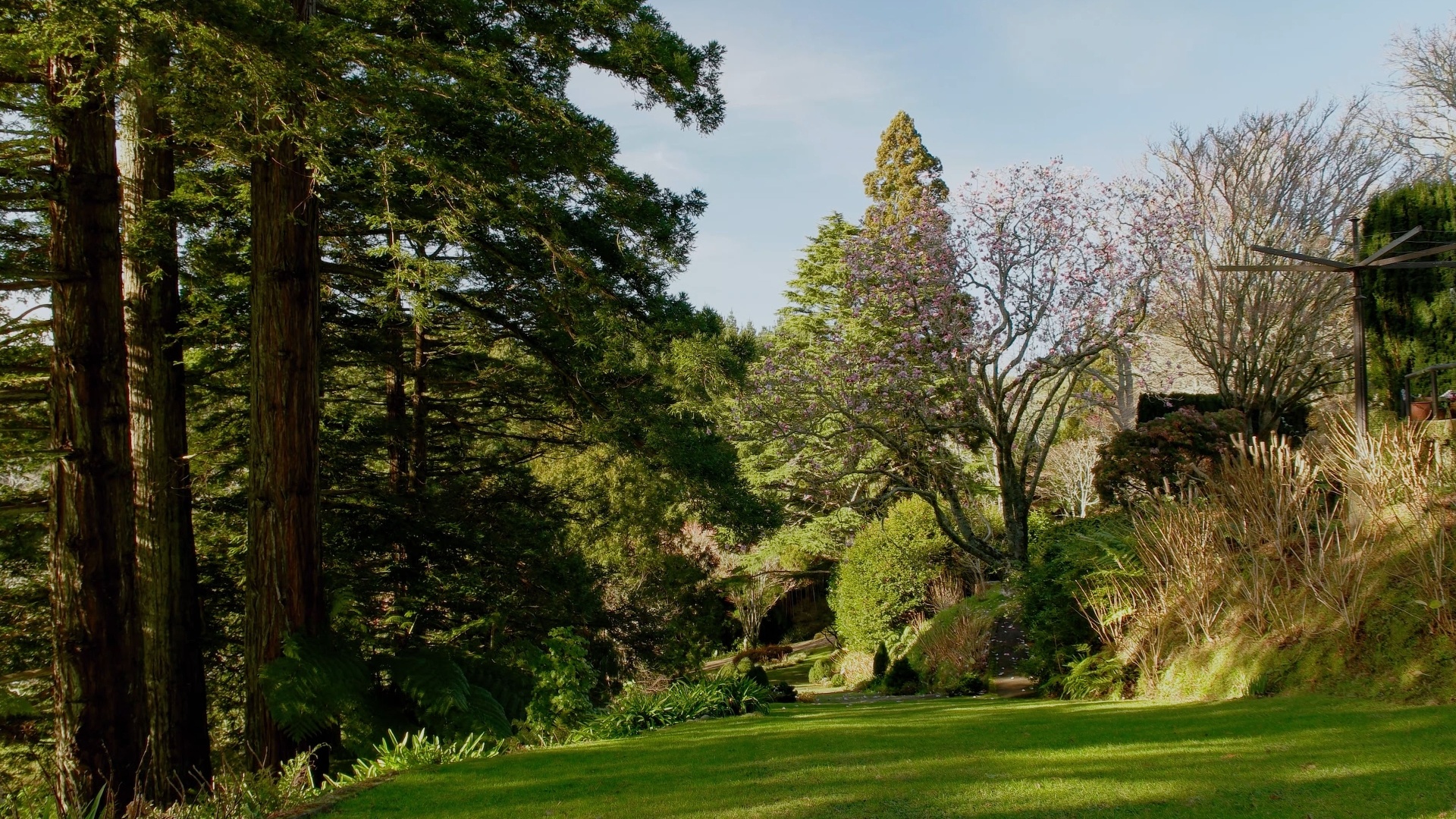 New Zealand Gardens (Music)