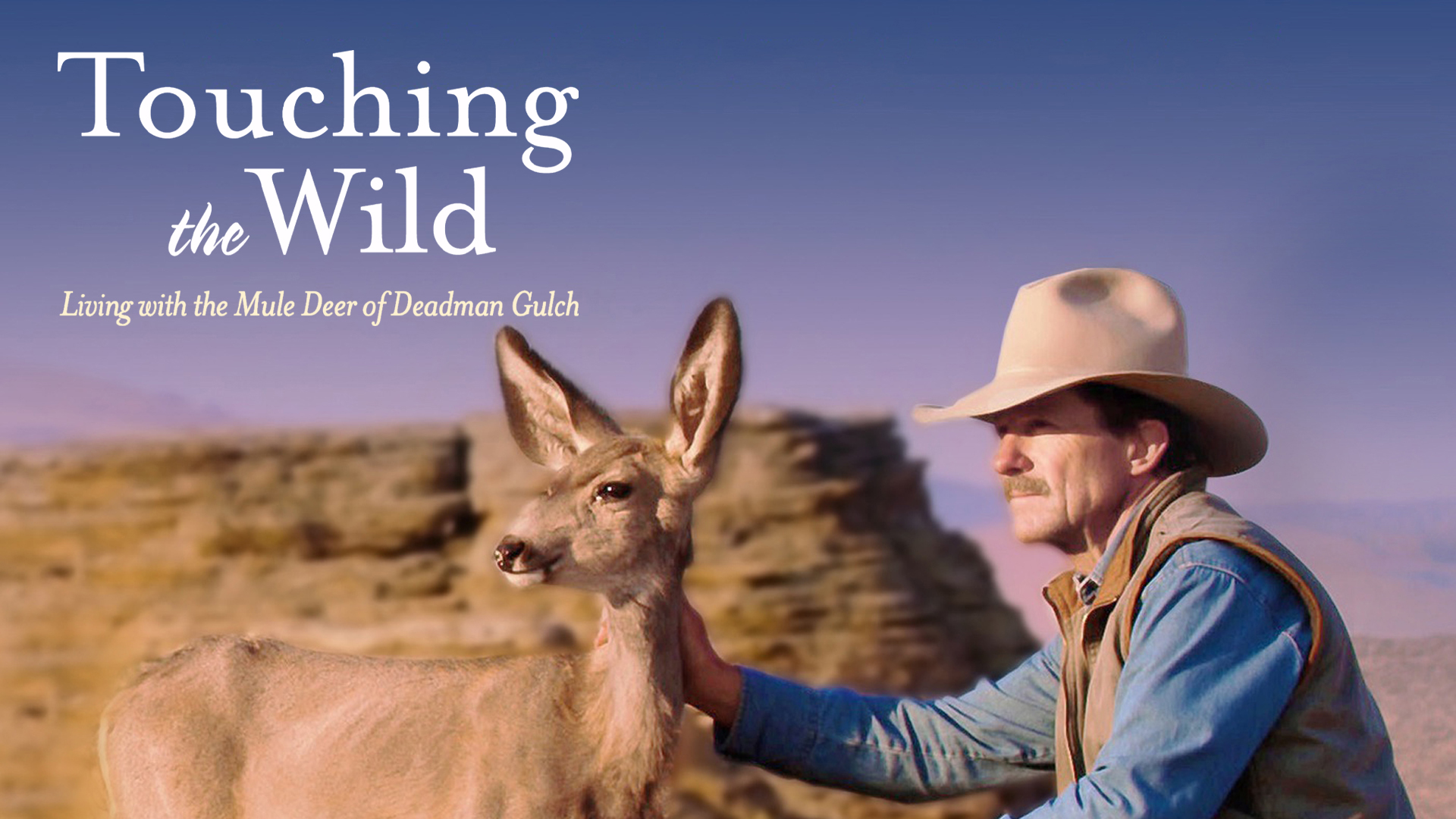 Touching the Wild: Living with the Mule Deer of Deadman Gulch