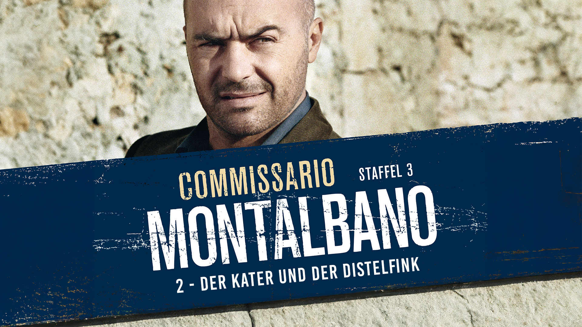 Commissario Montalbano