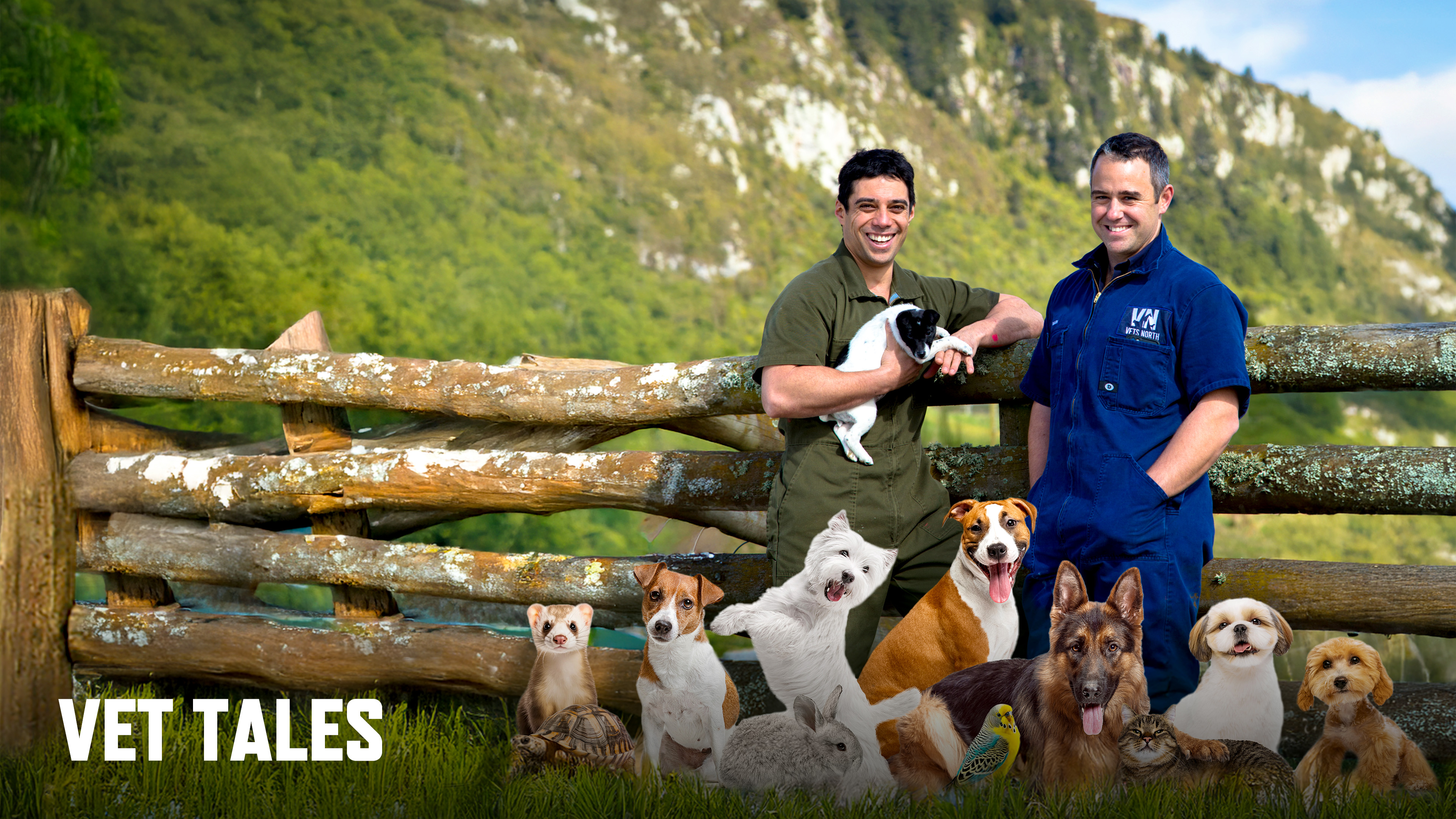 Vet Tales