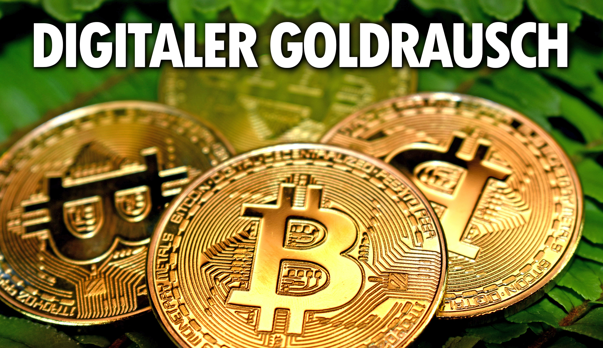 Digitaler Goldrausch