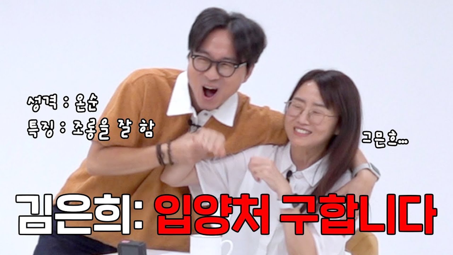 눈물 자국 생긴 말티즈가 버거운 "한국의 애거서 크리스티" 김은희..입양처 찾