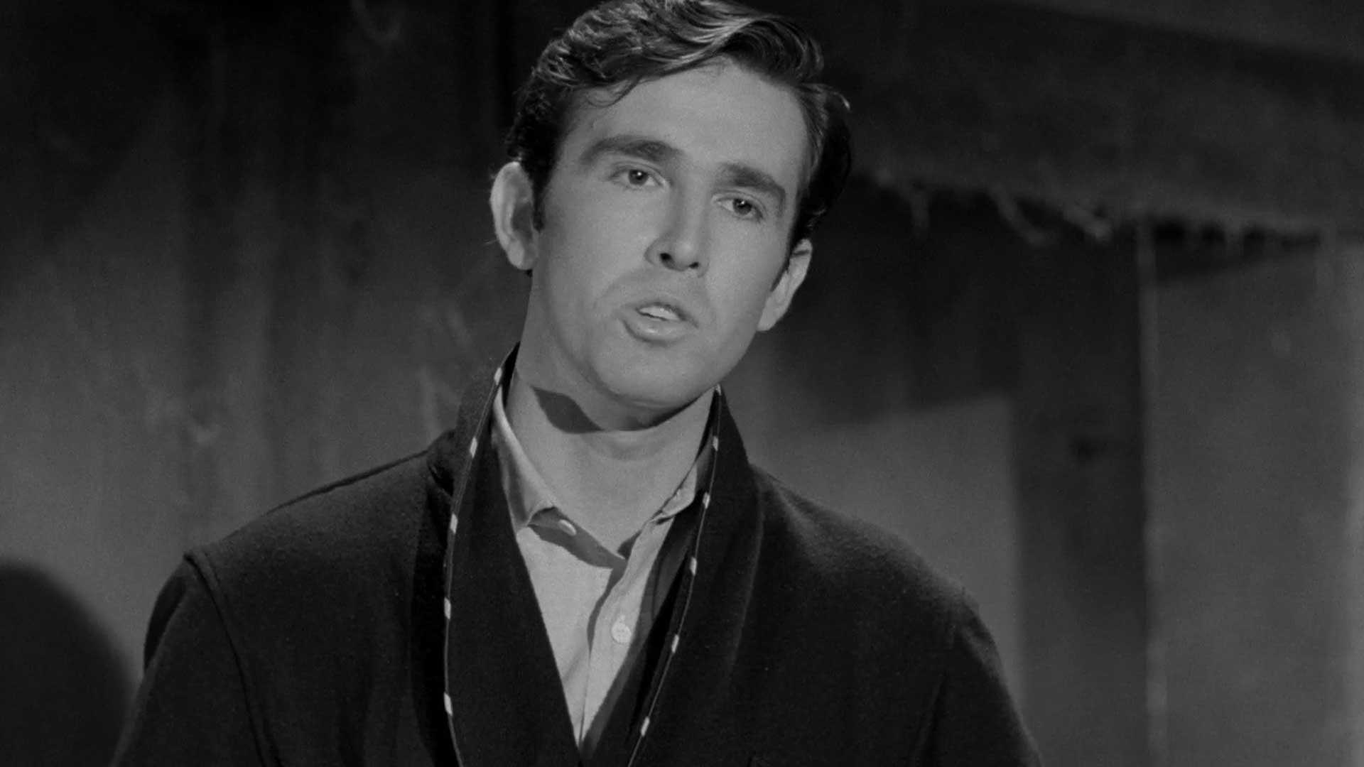 Shadows on the Window