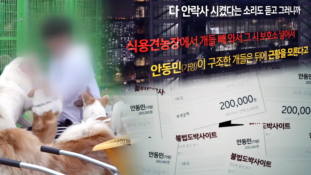 궁금한 이야기 Y 447회