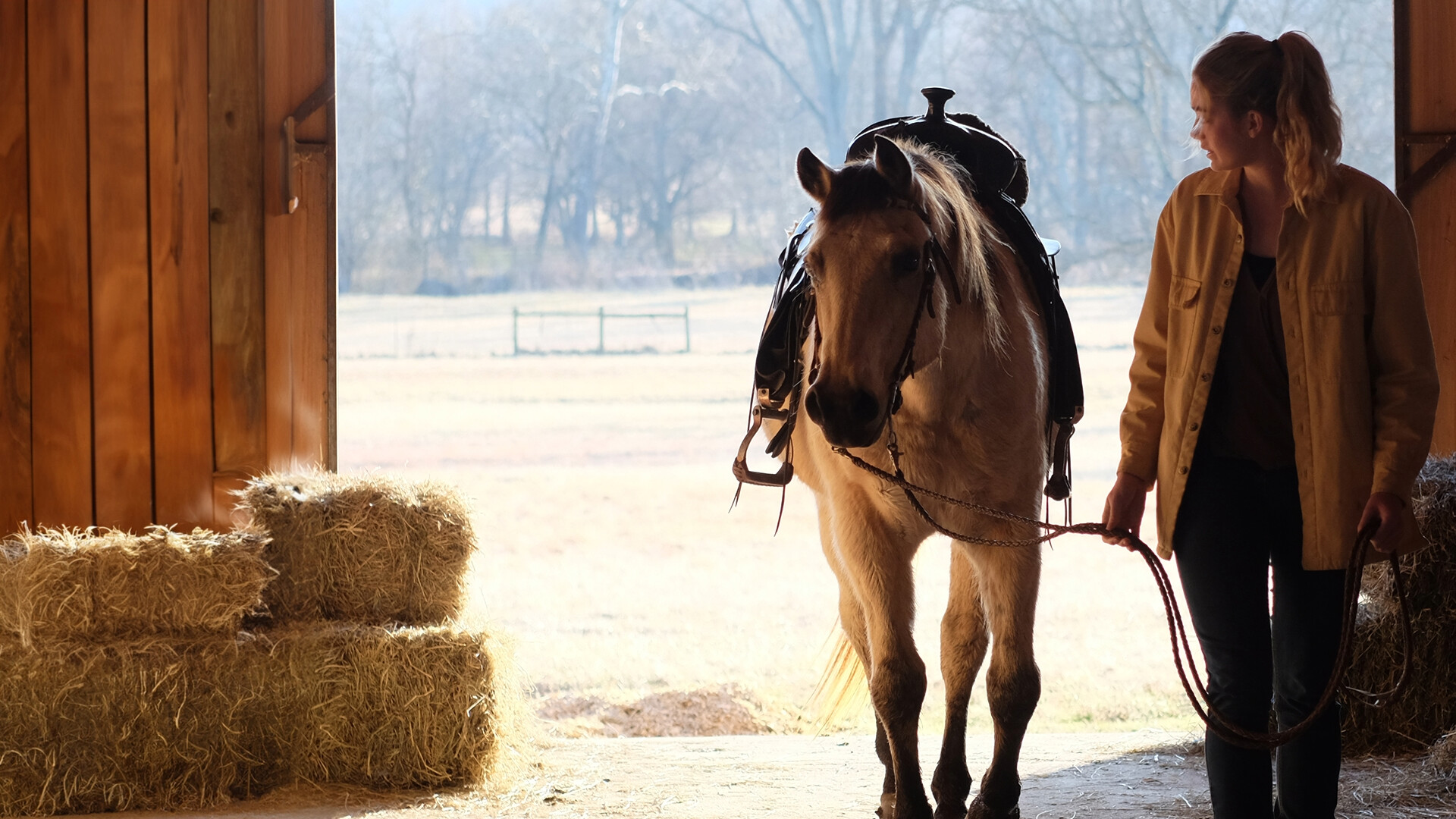 Der Traum unseres Lebens