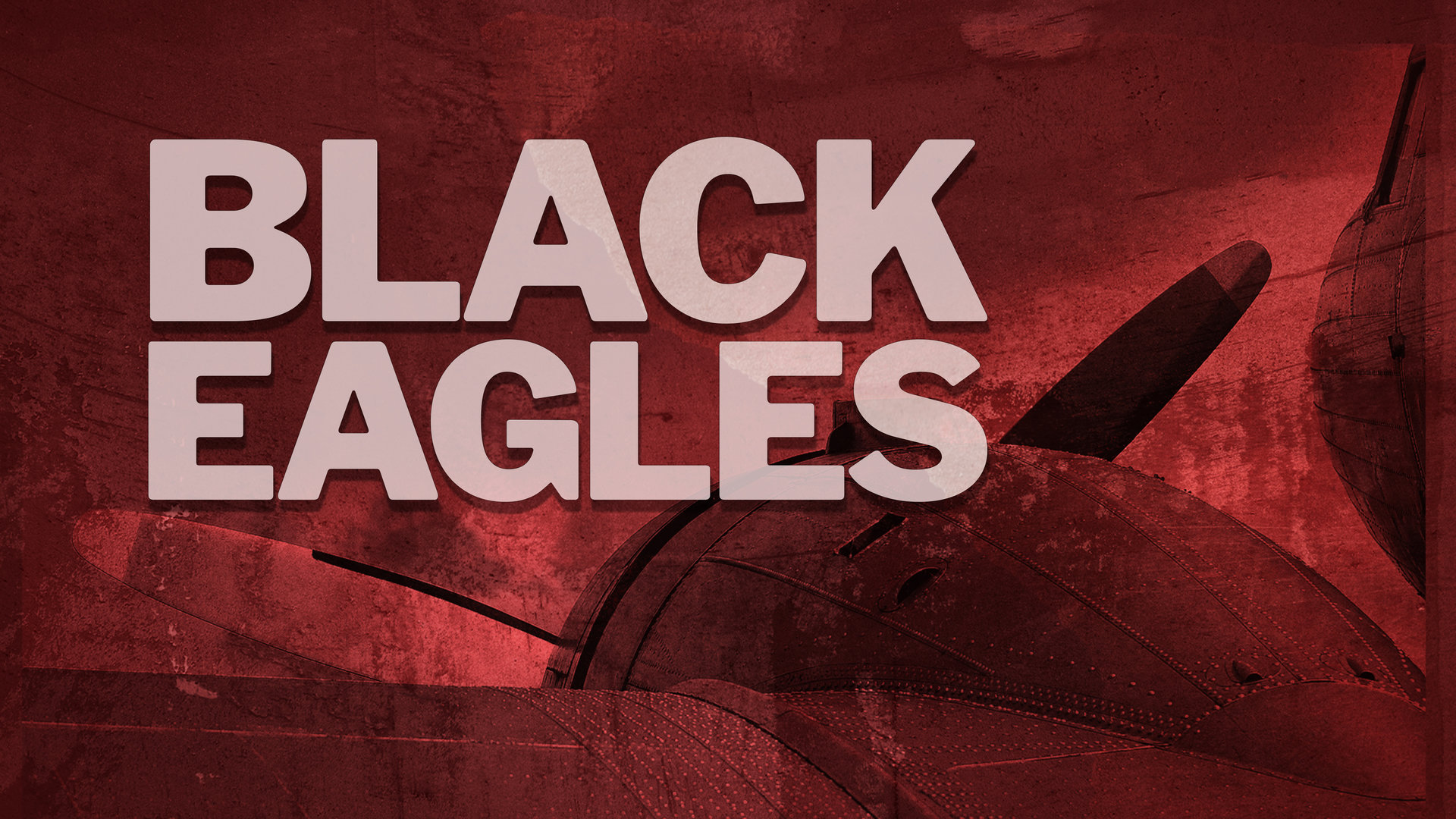 Focke-Wulf 190 (The High Flyer)