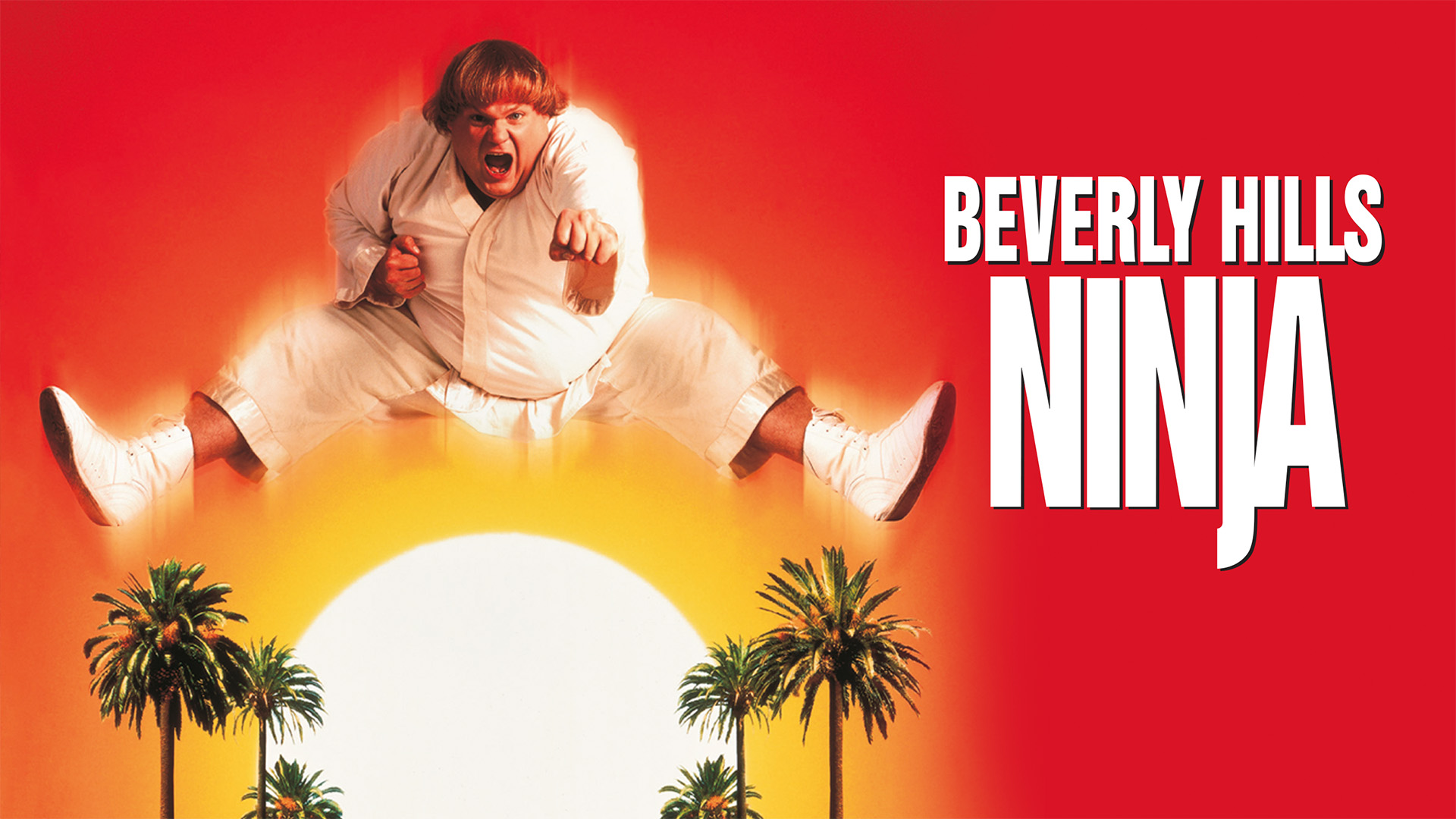 Beverly Hills Ninja